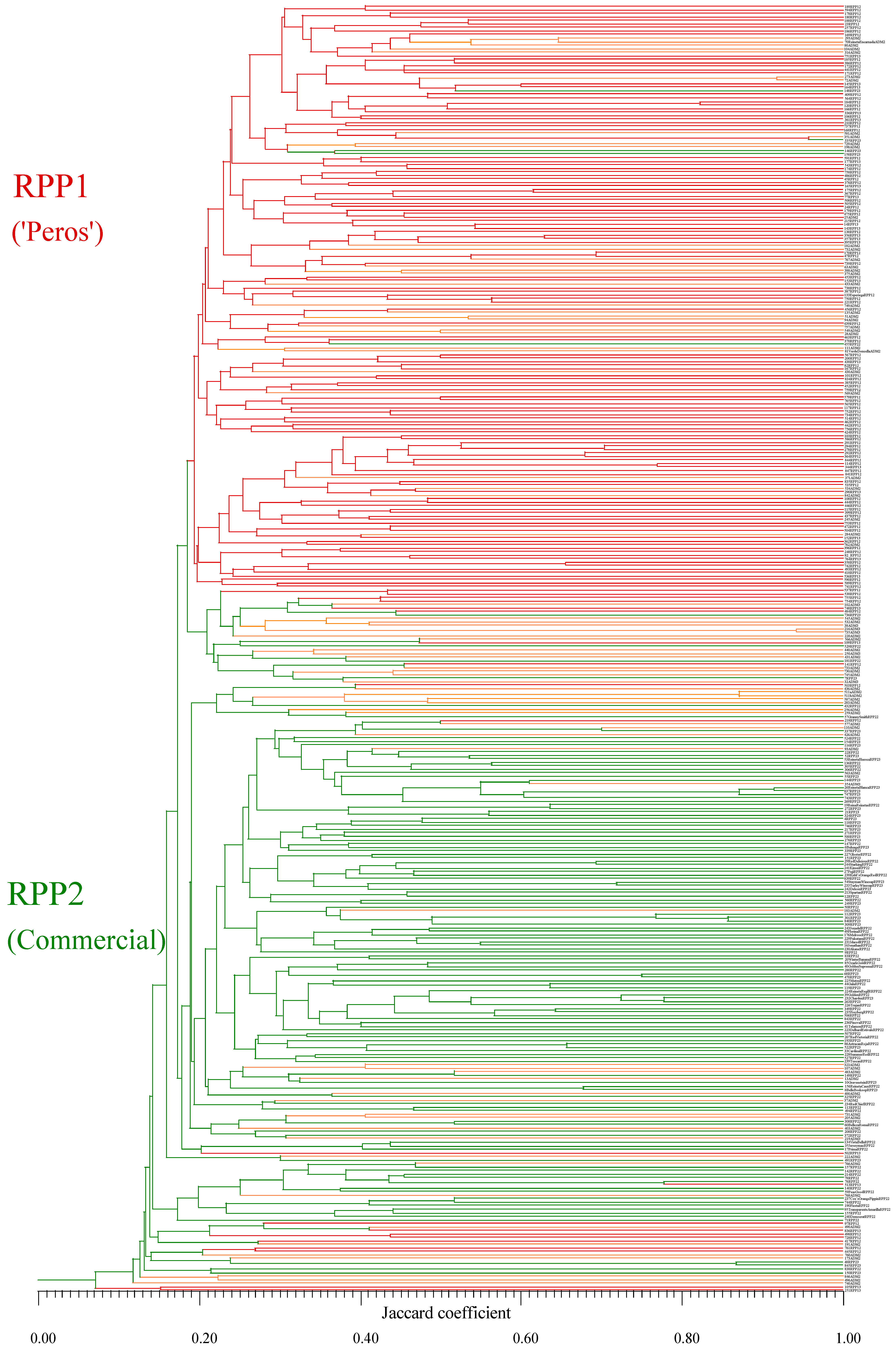 Agronomy 13 02651 g004
