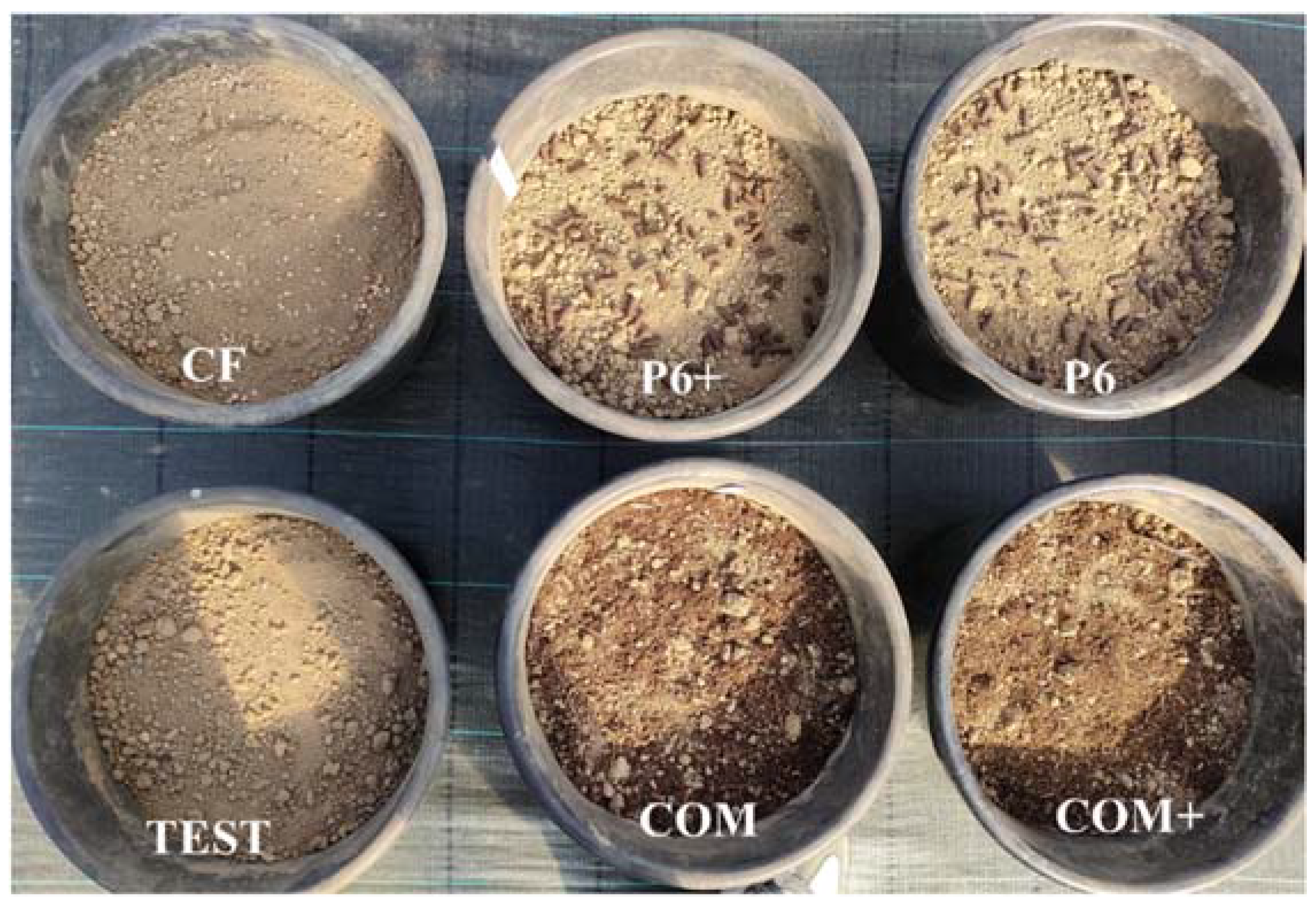 Agronomy 13 02654 g001 Agronomy 13 02654 g001