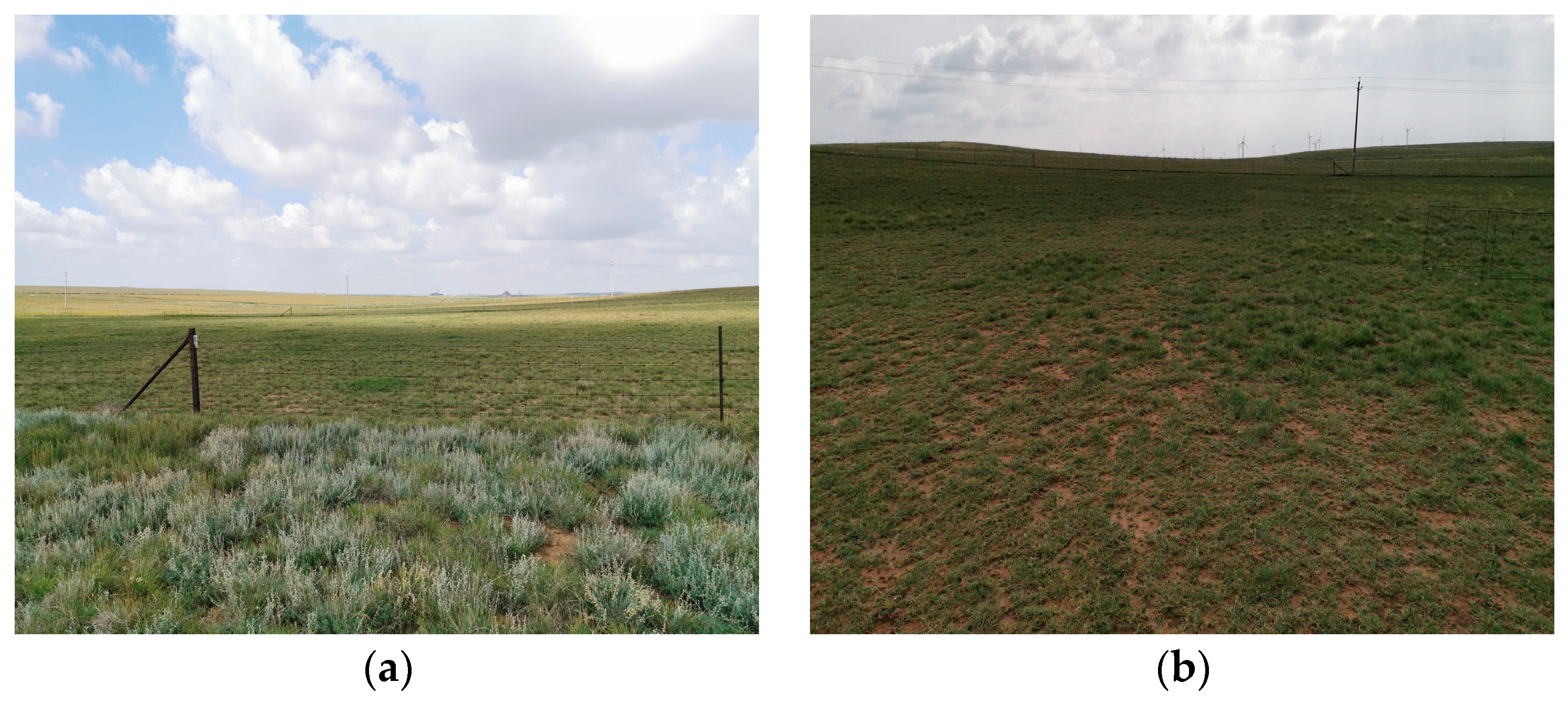 Agronomy 13 02657 g002