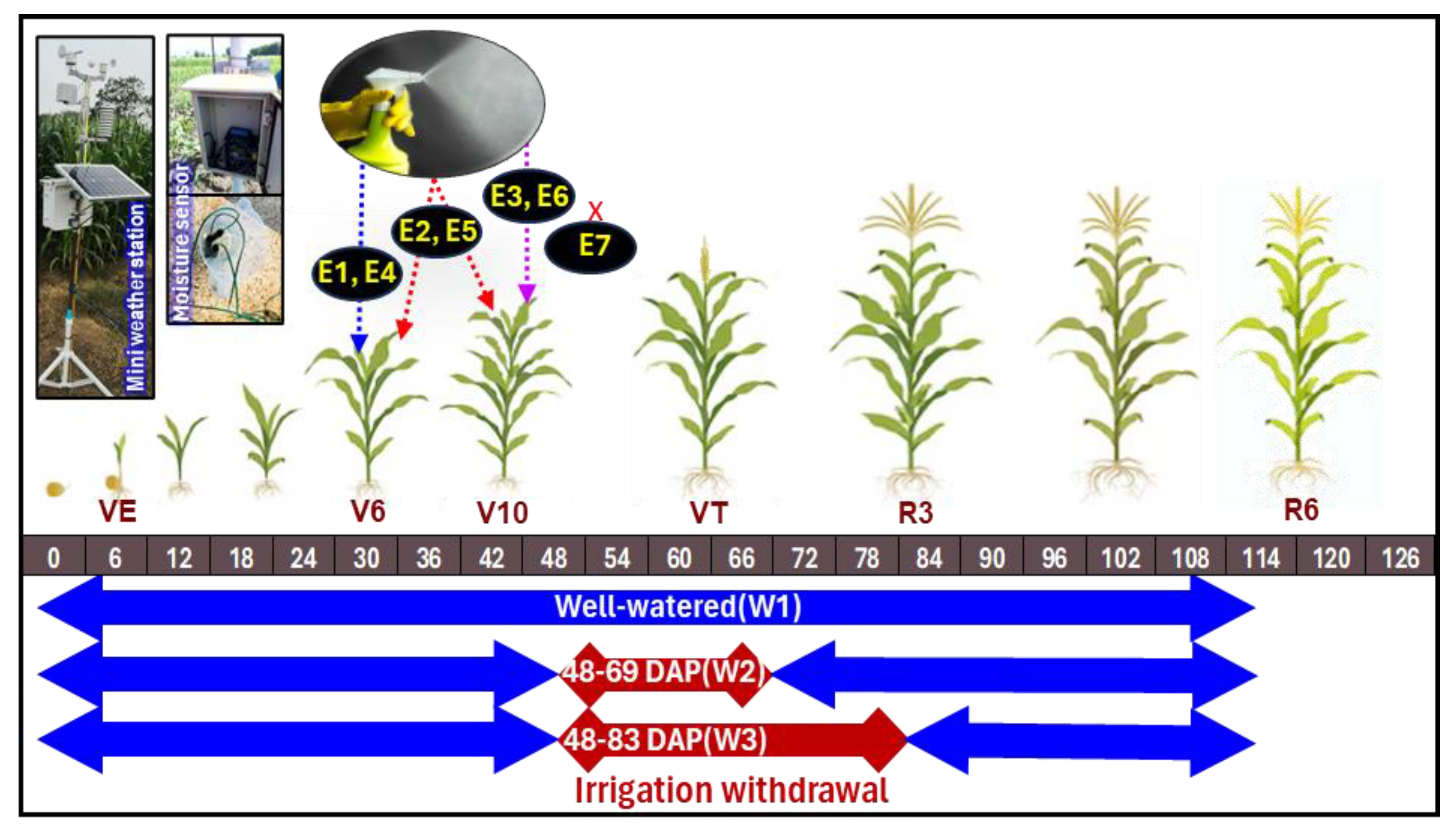 Agronomy 13 02673 g001