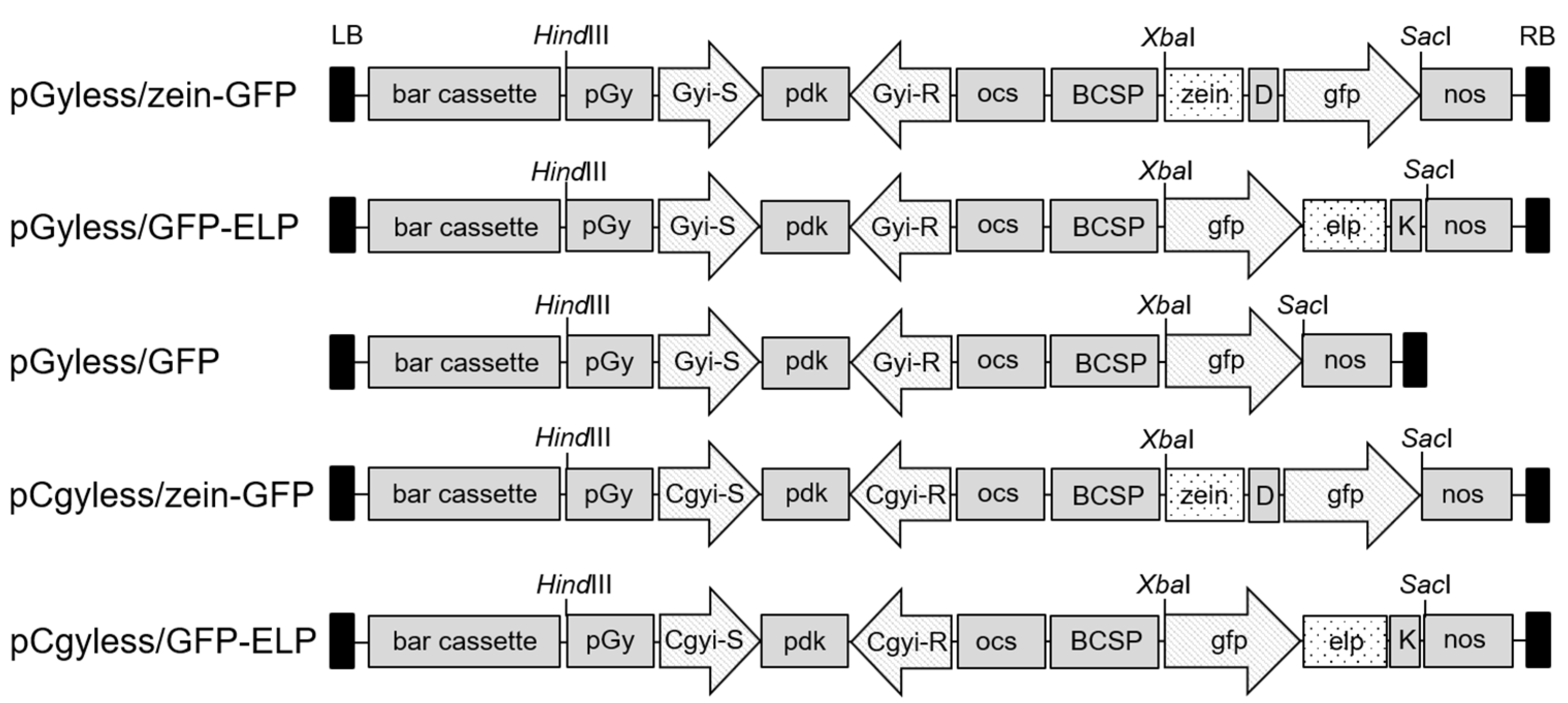 Agronomy 13 02680 g001 Agronomy 13 02680 g001