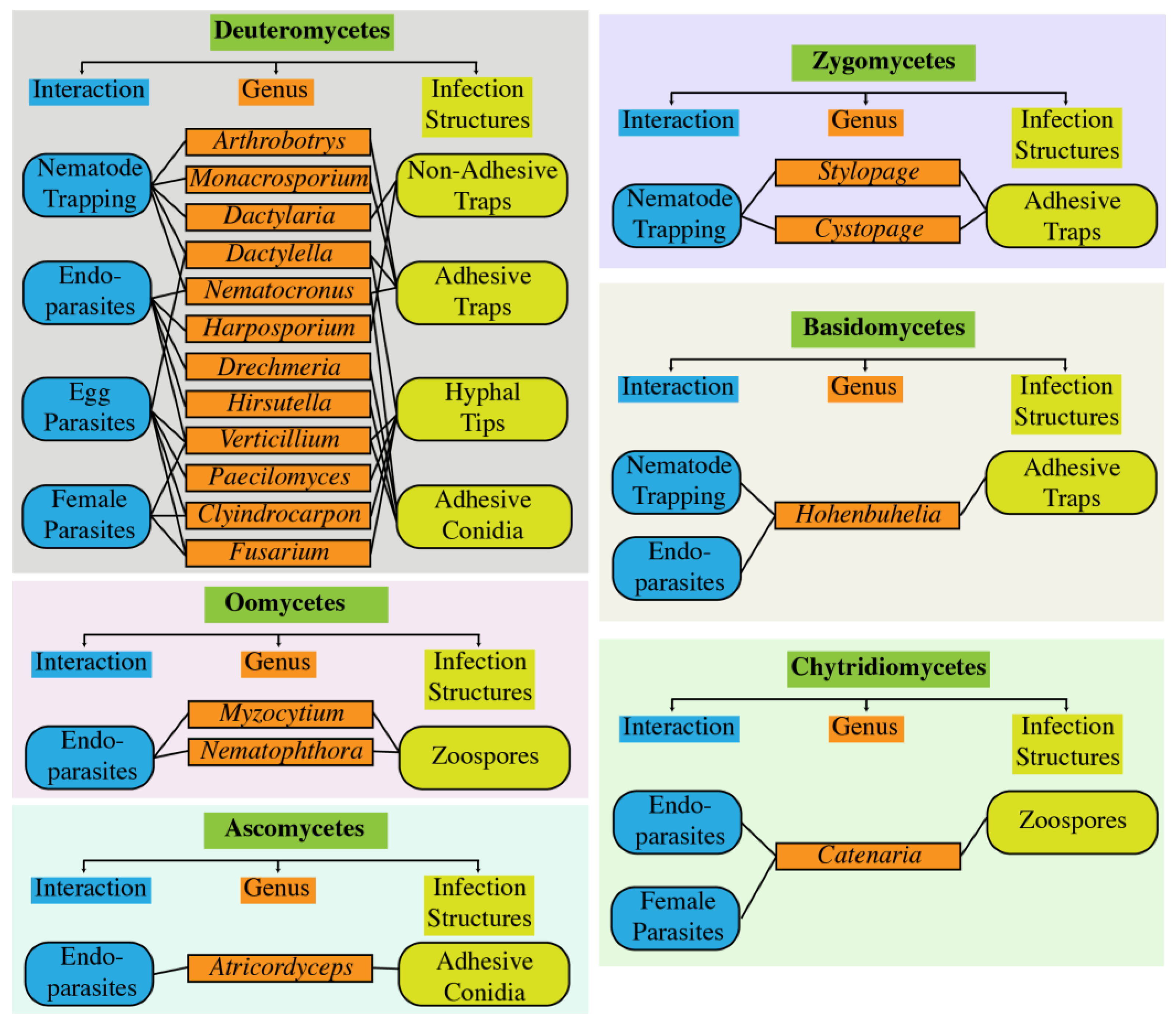 Agronomy 13 02685 g001 Agronomy 13 02685 g001