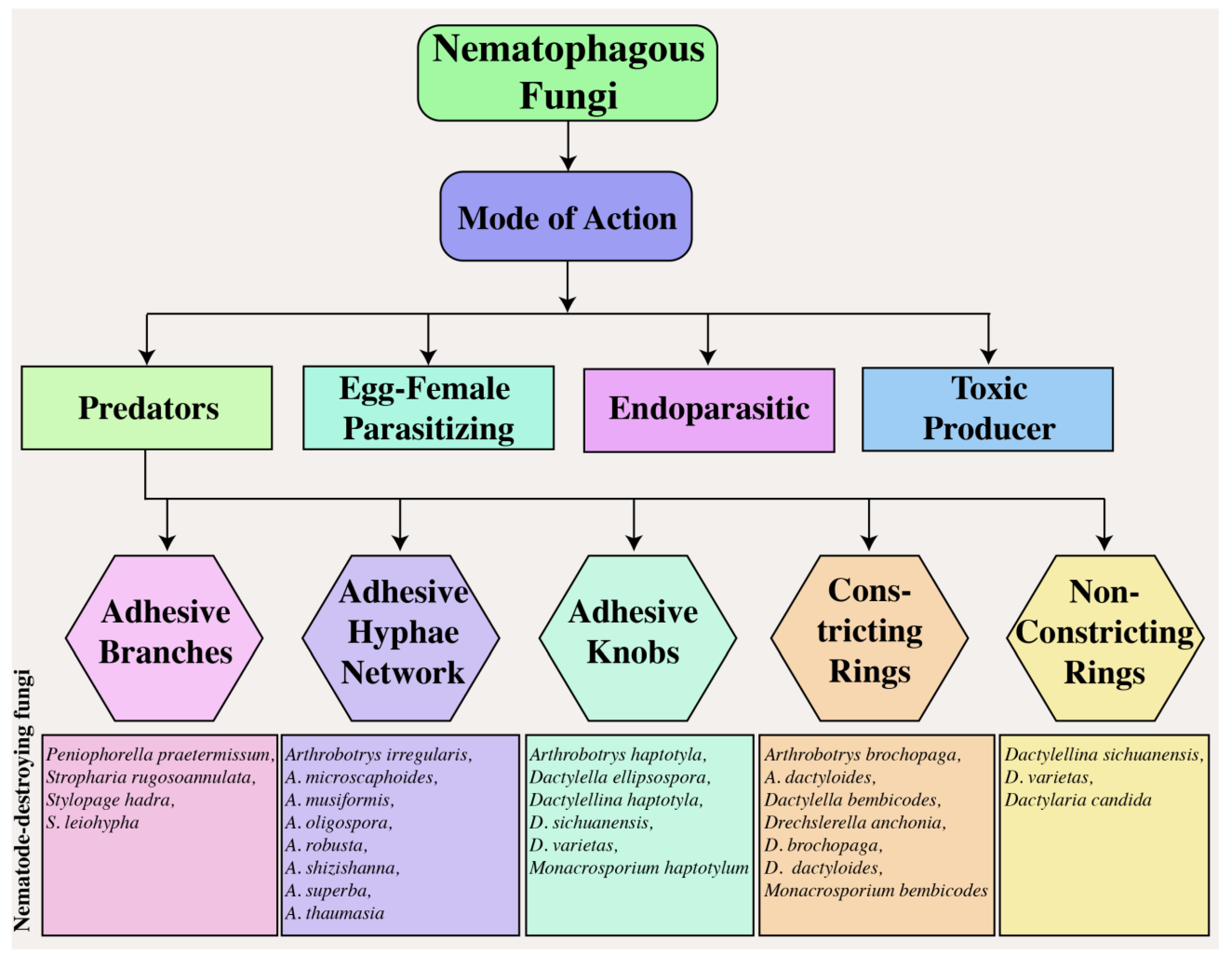 Agronomy 13 02685 g002 Agronomy 13 02685 g002