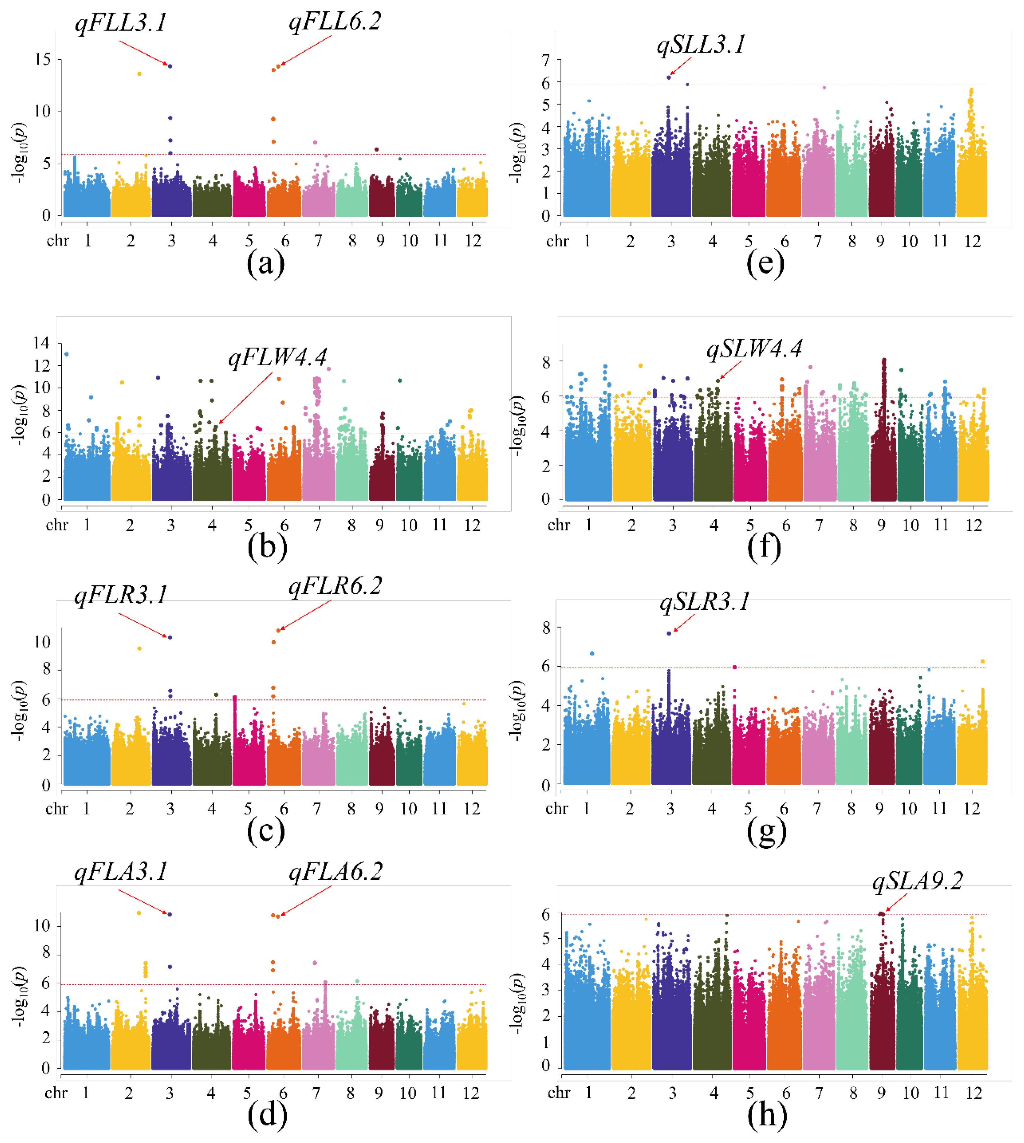 Agronomy 13 02687 g002
