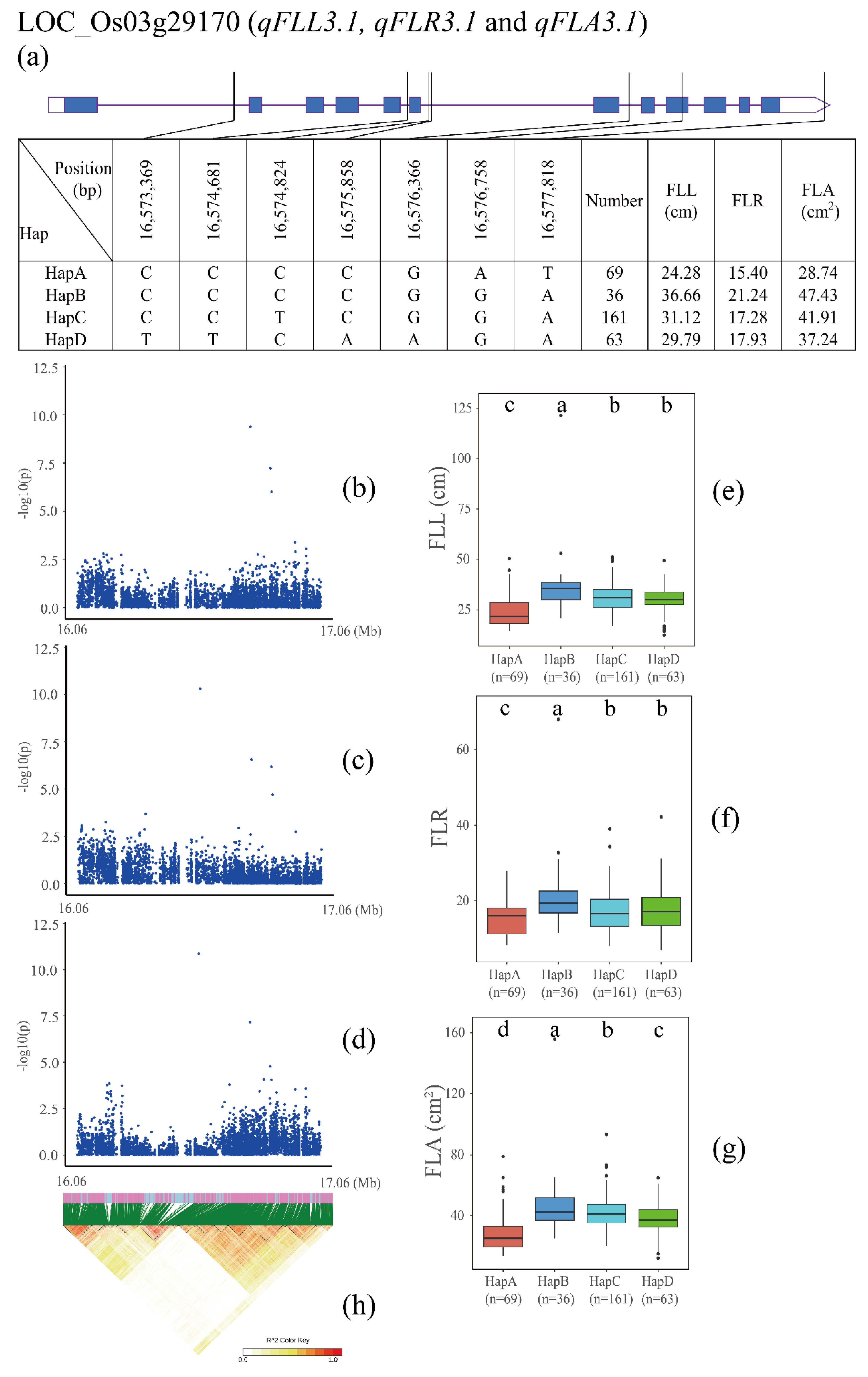 Agronomy 13 02687 g003