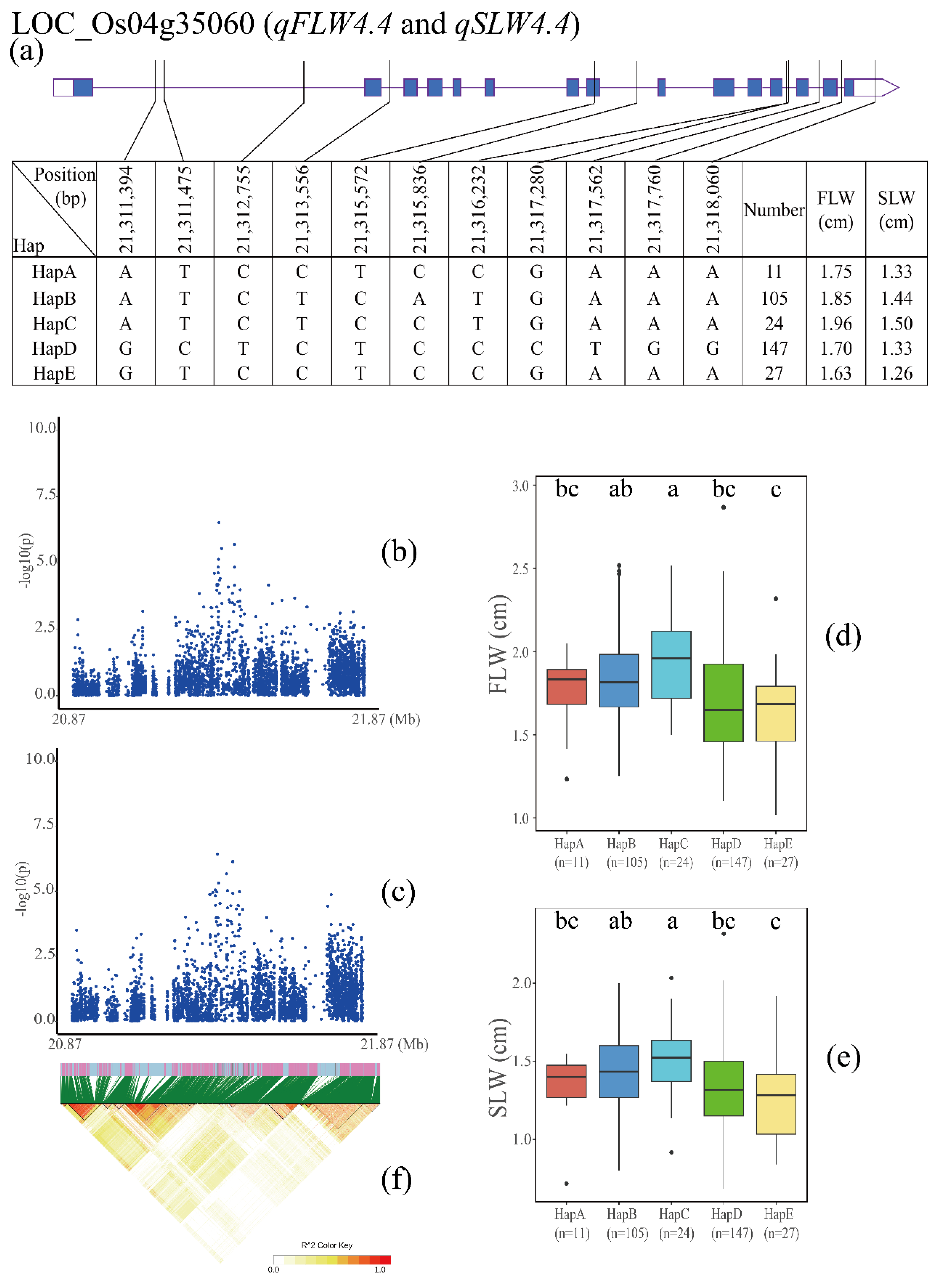 Agronomy 13 02687 g004