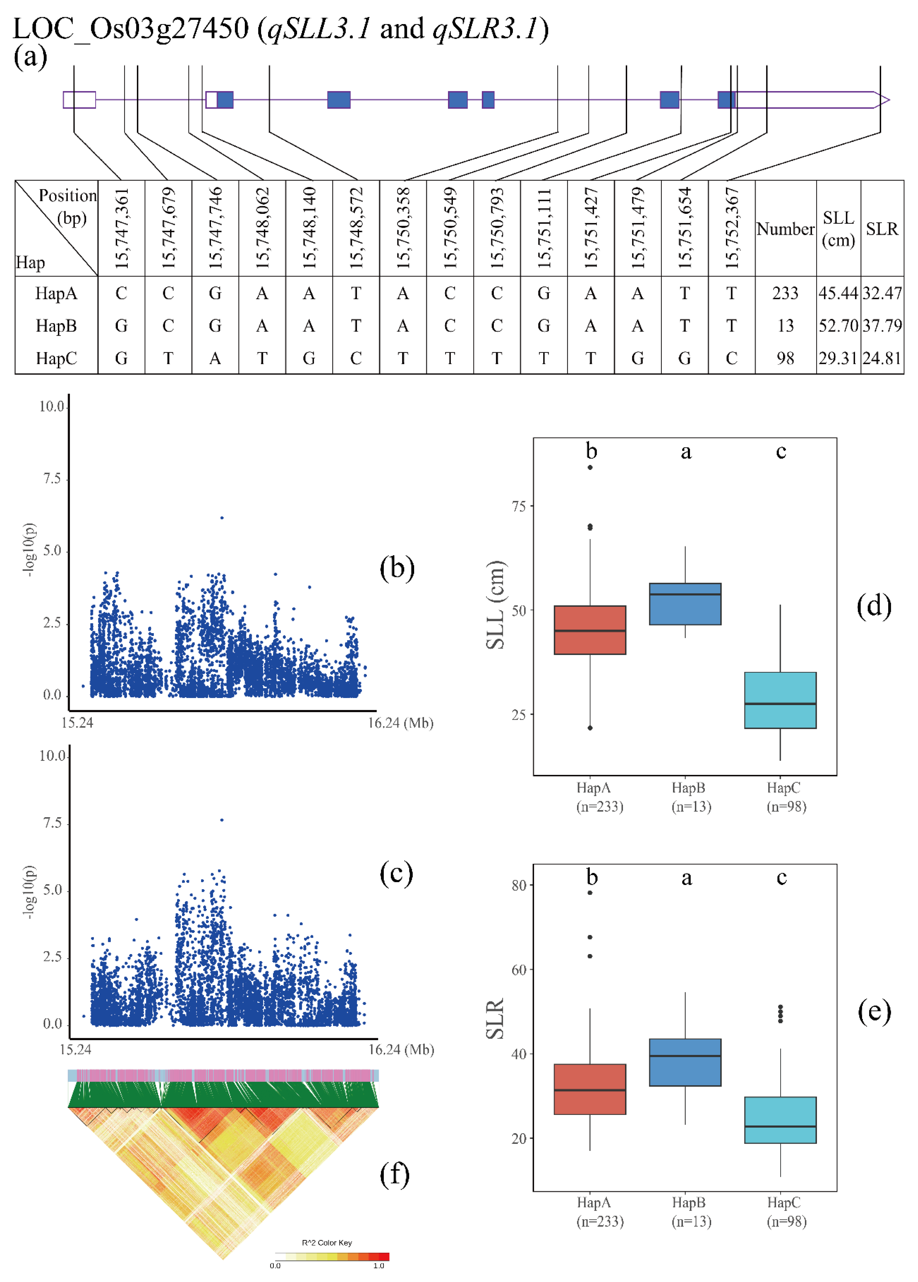 Agronomy 13 02687 g005