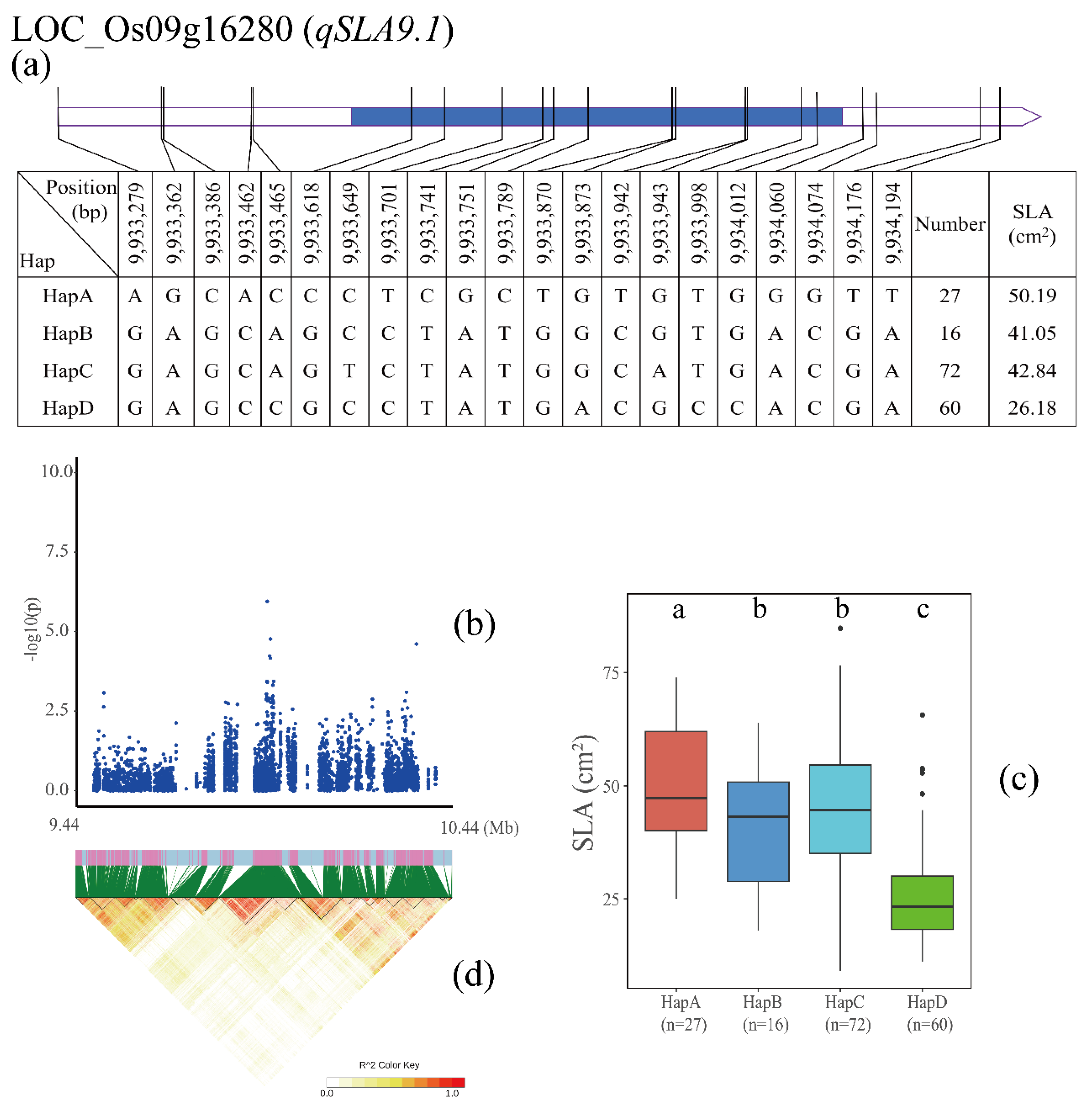 Agronomy 13 02687 g006