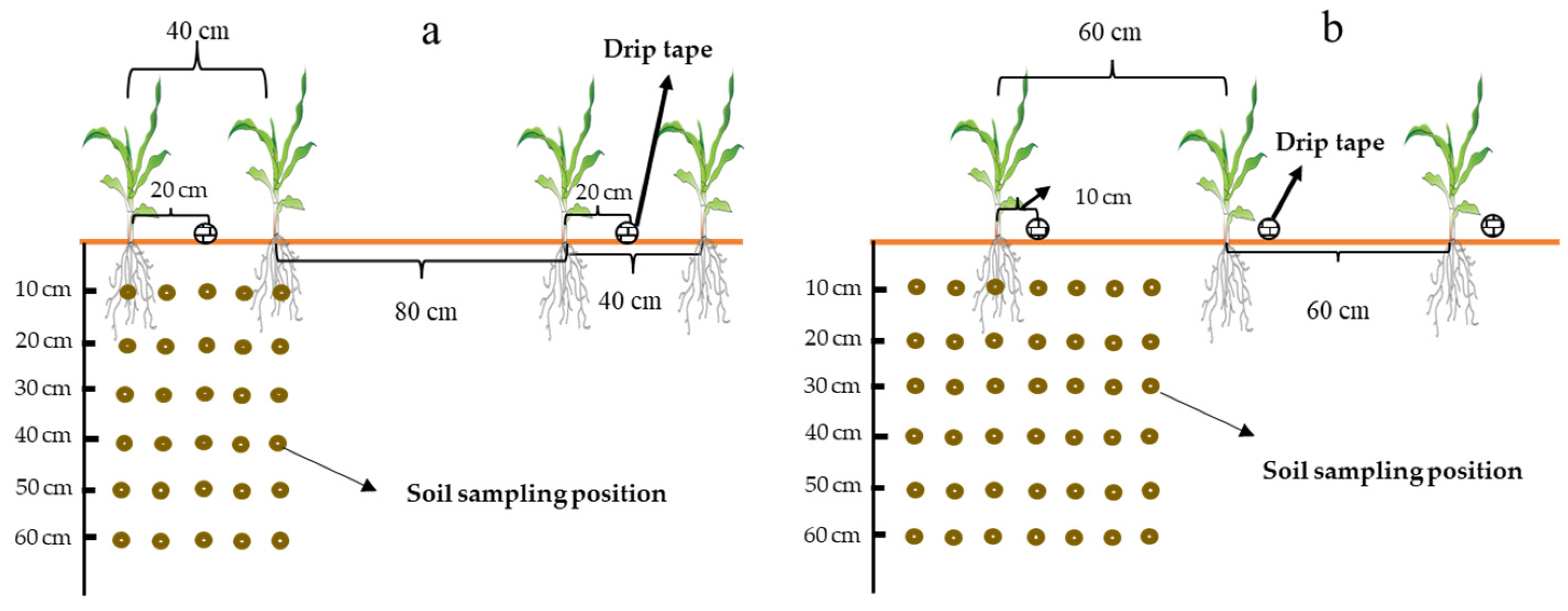 Agronomy 13 02689 g001