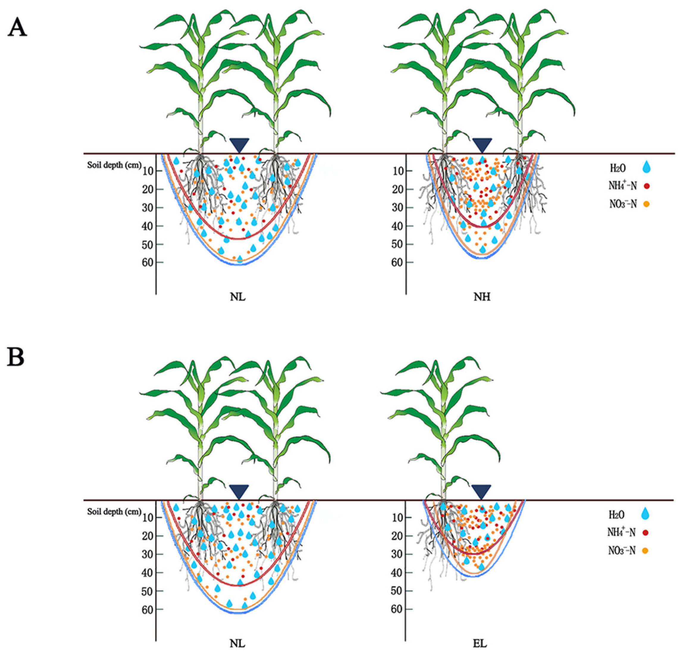Agronomy 13 02689 g008