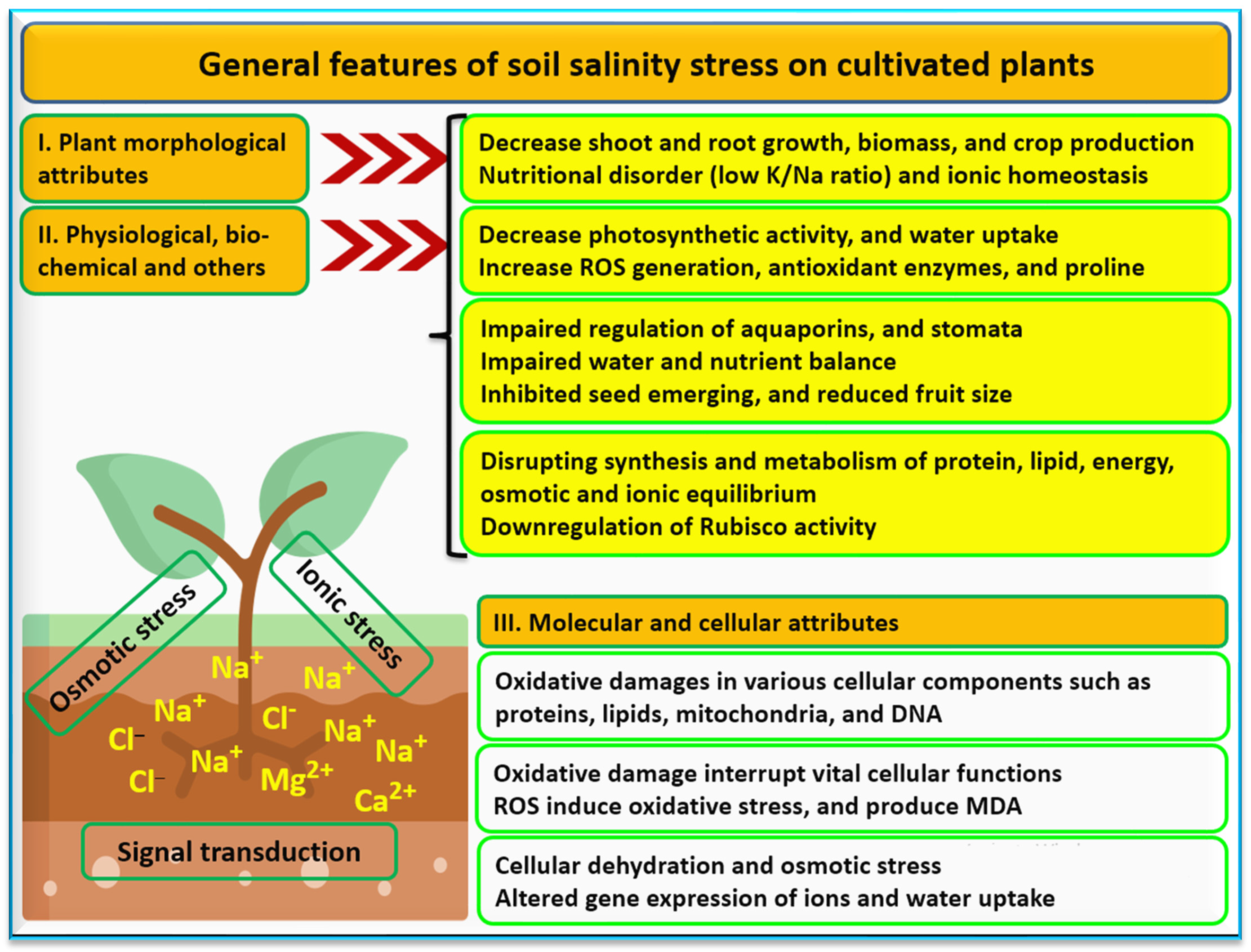 Agronomy 13 02695 g001