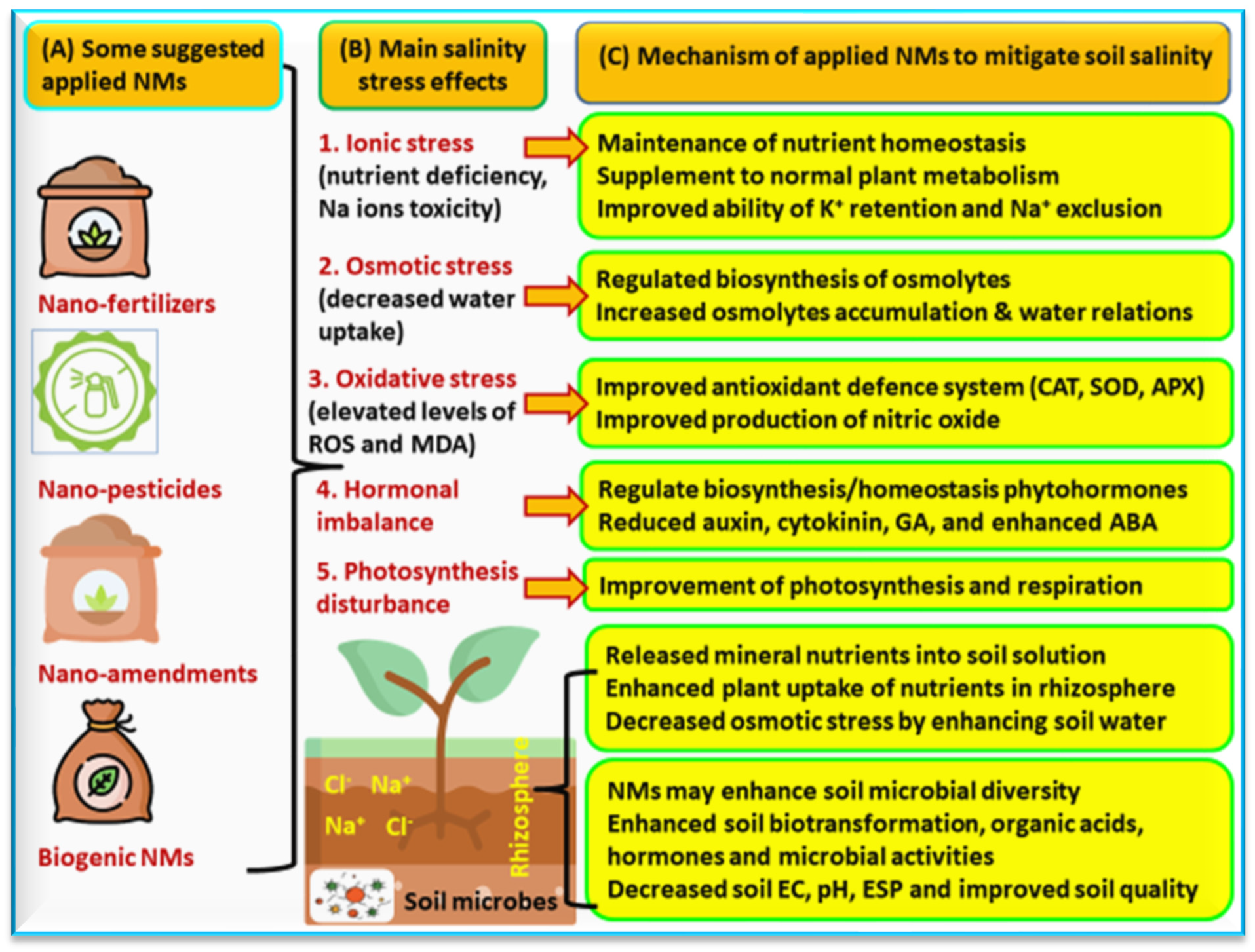 Agronomy 13 02695 g006
