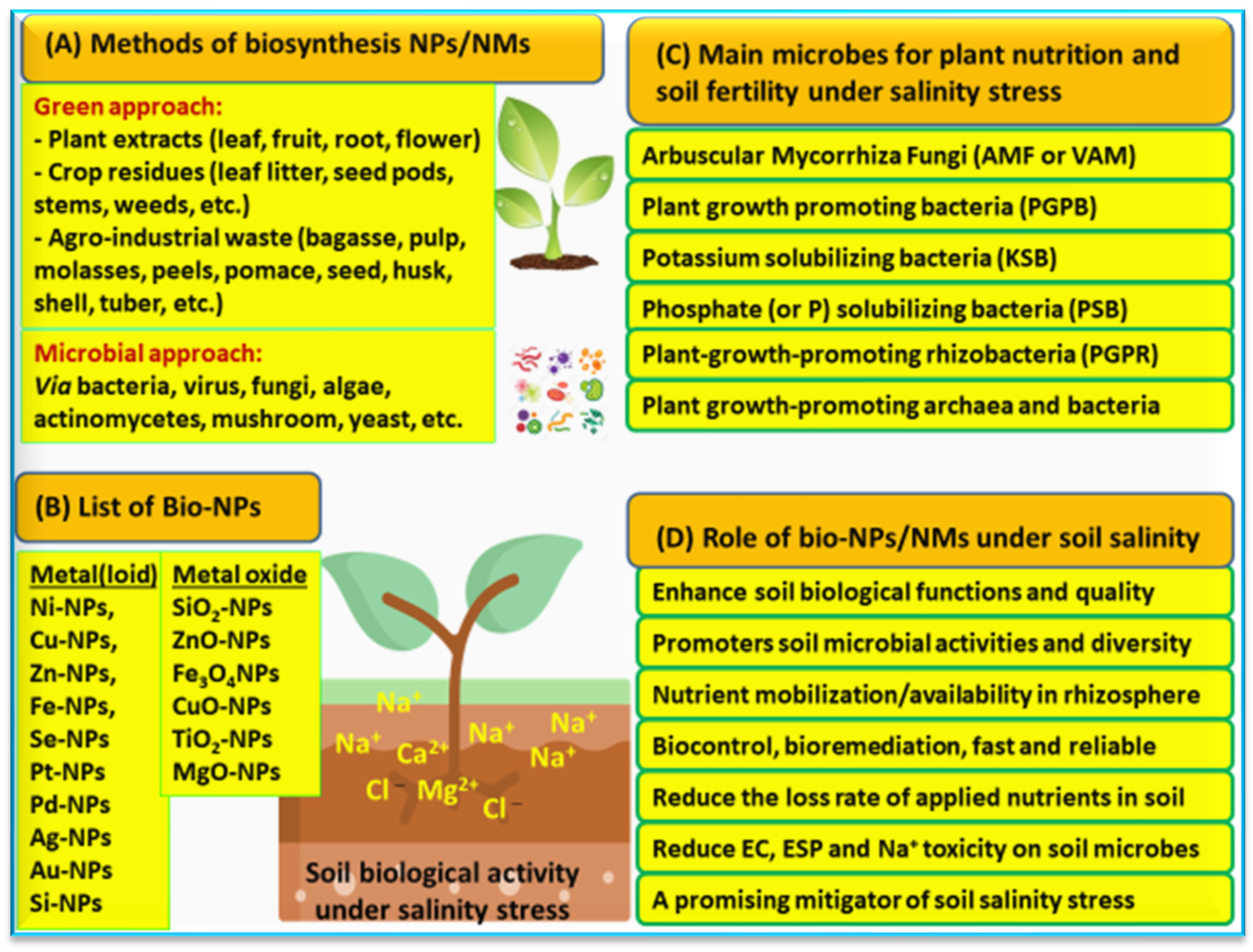 Agronomy 13 02695 g007