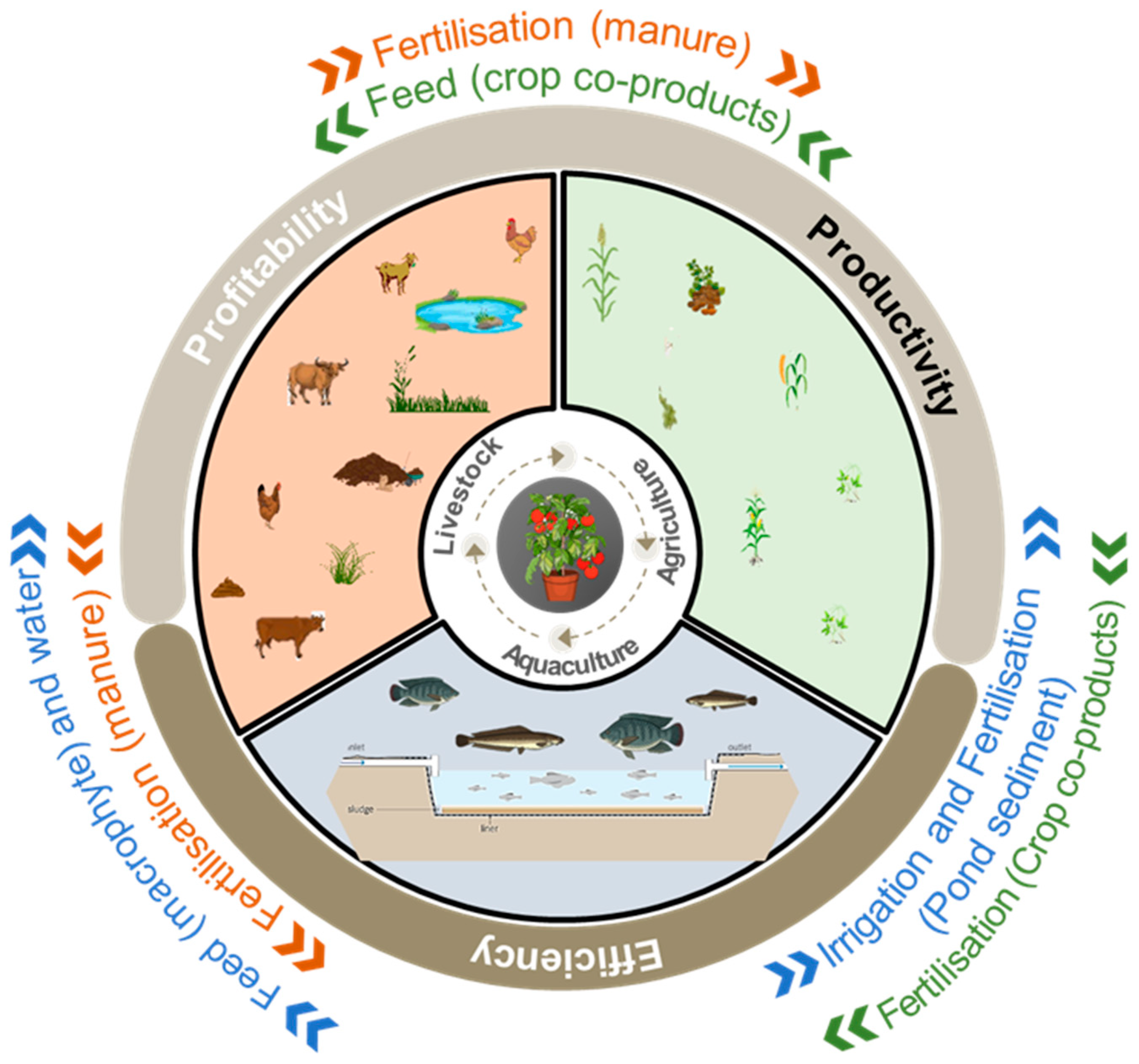 Agronomy 13 02696 g001