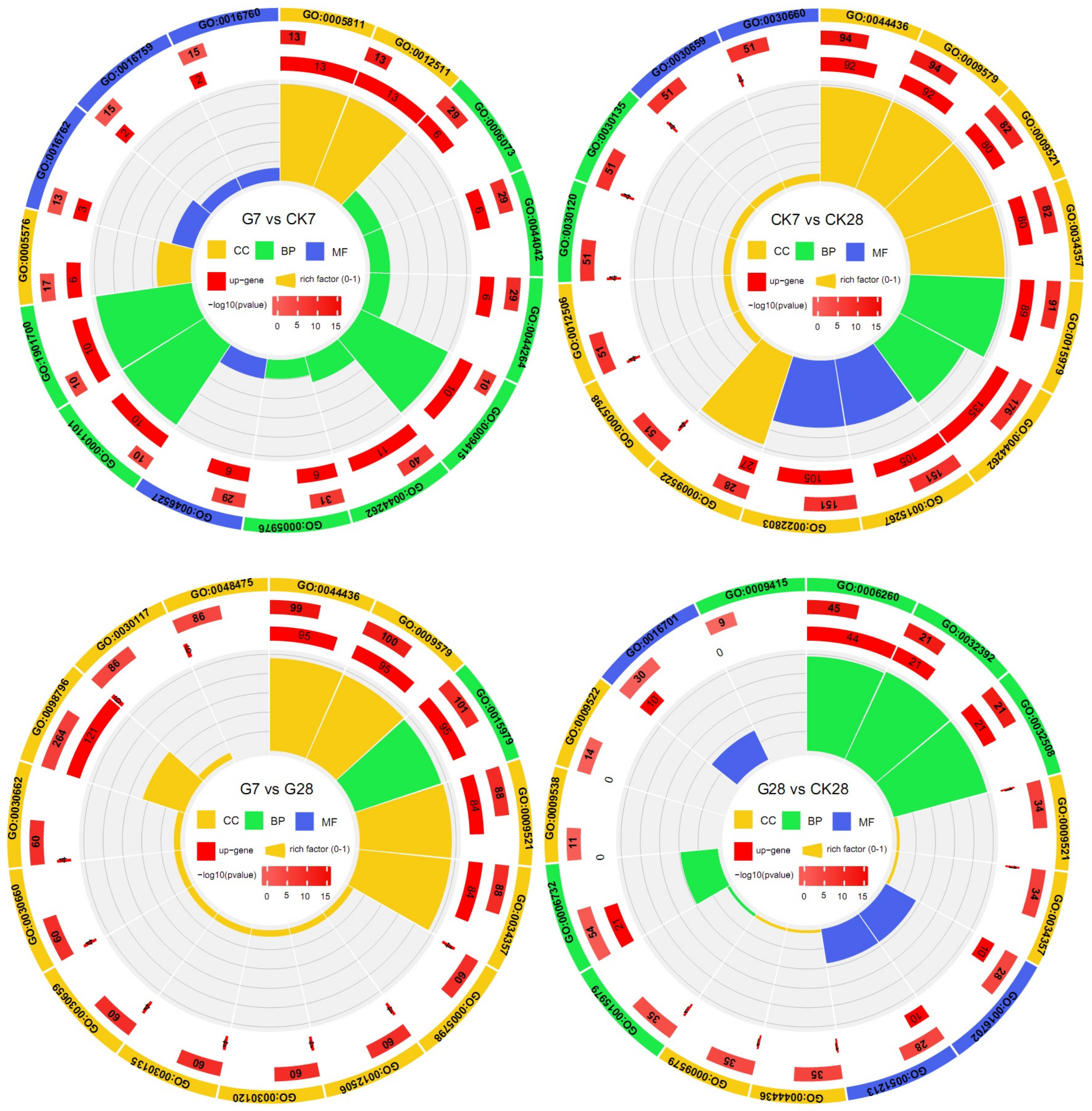Agronomy 13 02699 g004