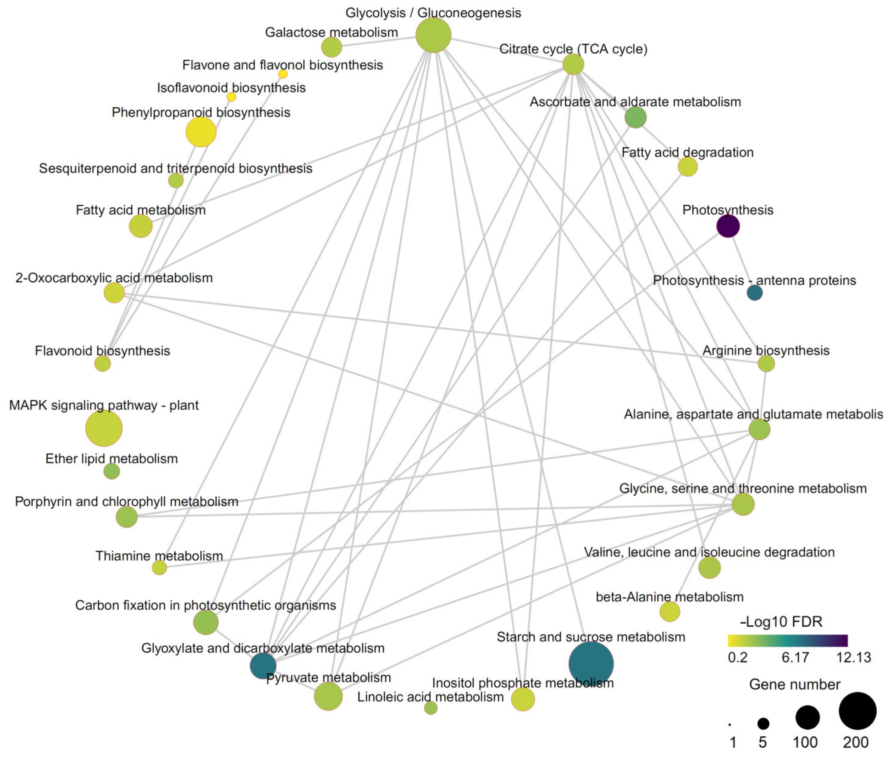 Agronomy 13 02699 g006