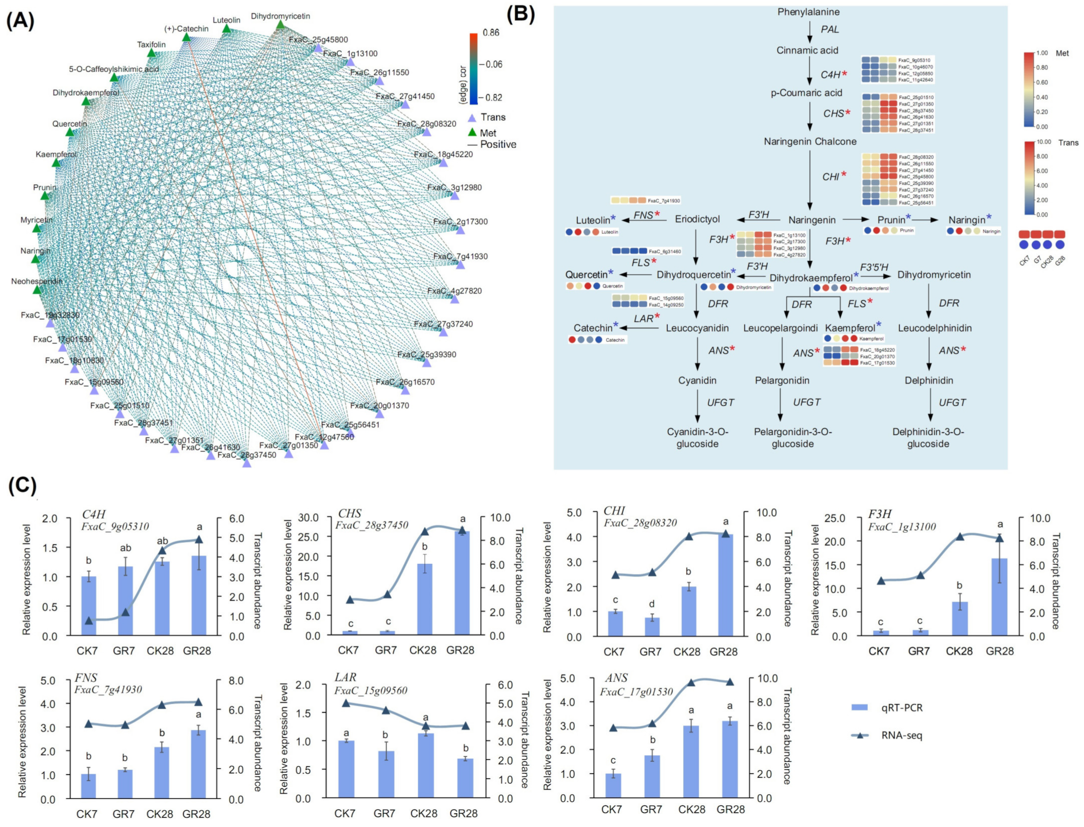 Agronomy 13 02699 g009
