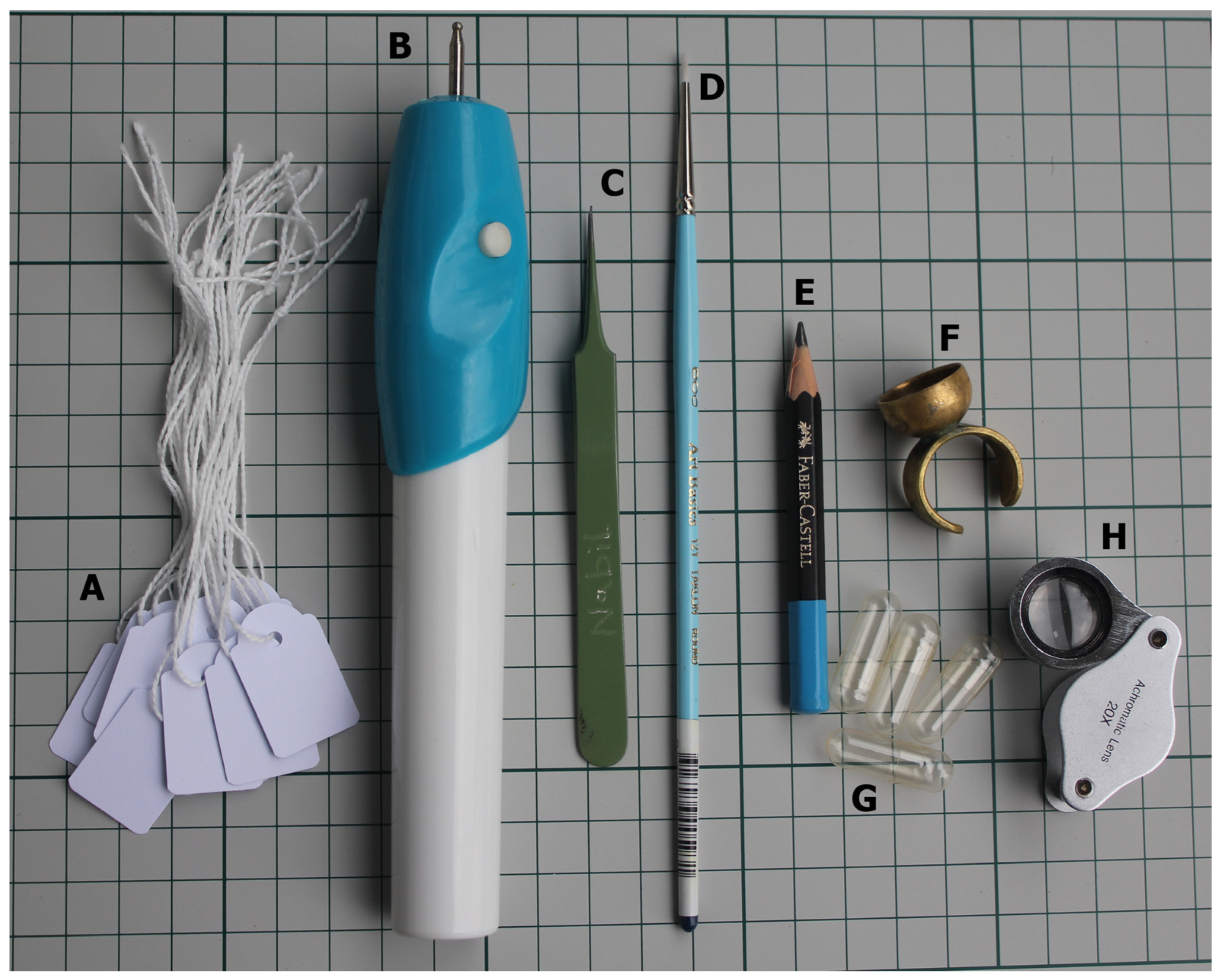 Agronomy 13 02701 g001