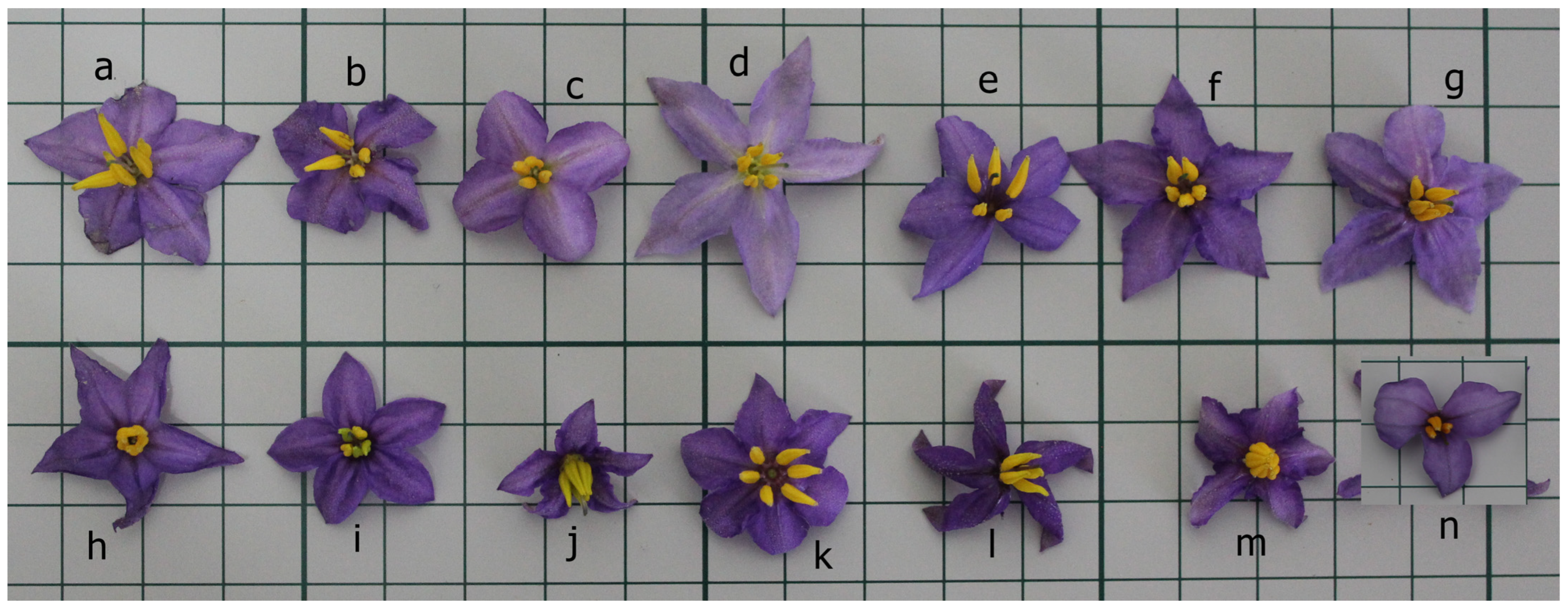 Agronomy 13 02701 g002