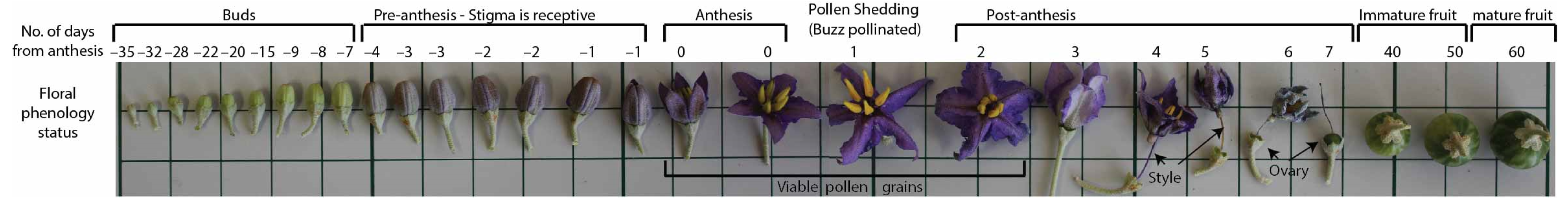 Agronomy 13 02701 g006