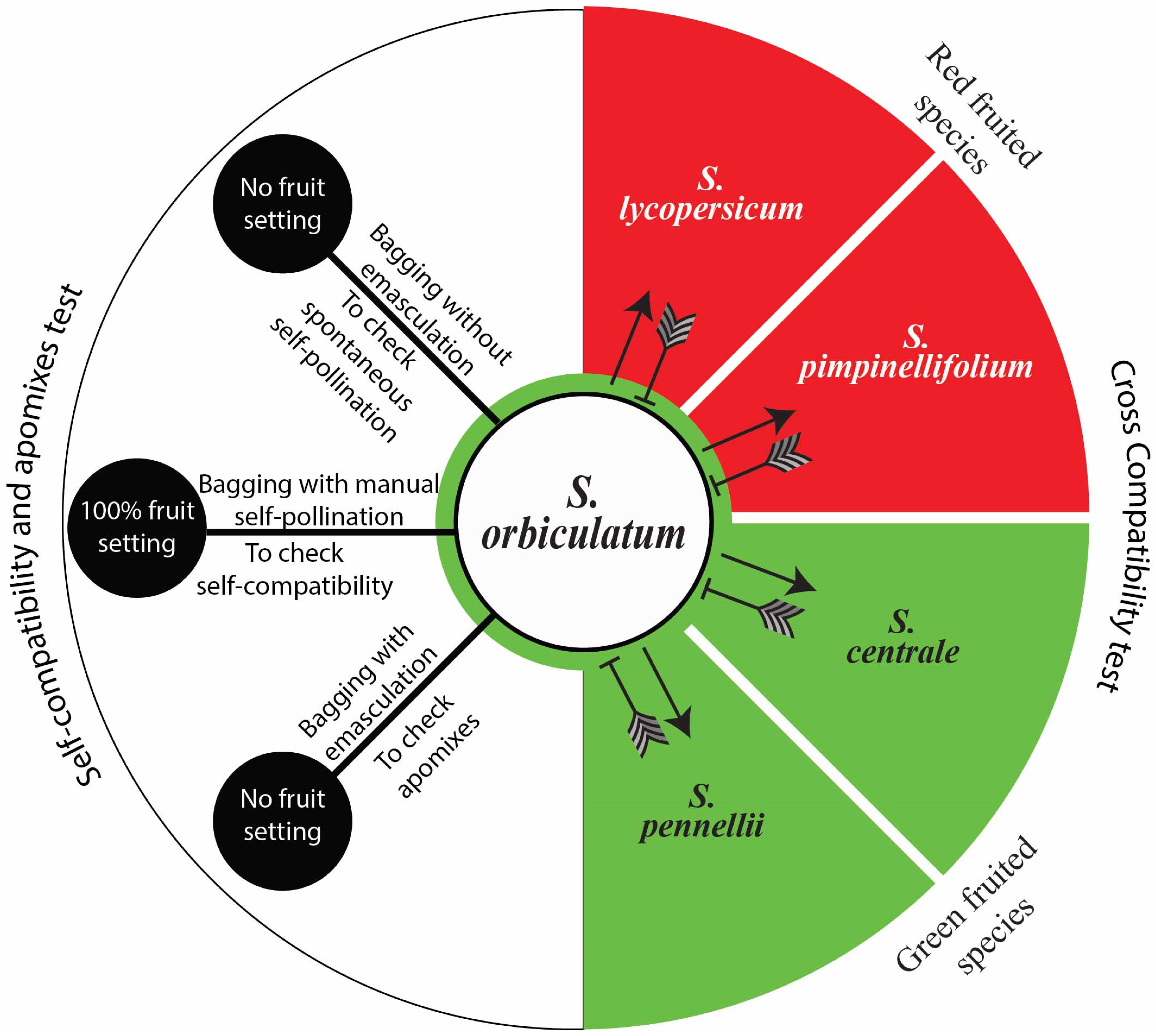 Agronomy 13 02701 g009