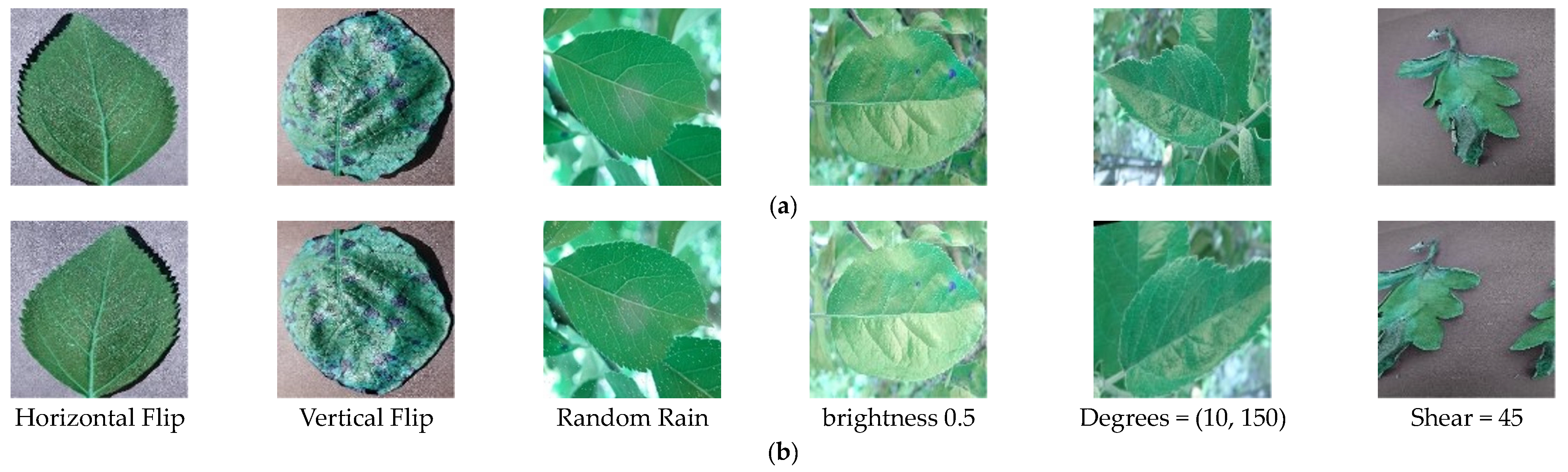 Agronomy 13 02702 g002
