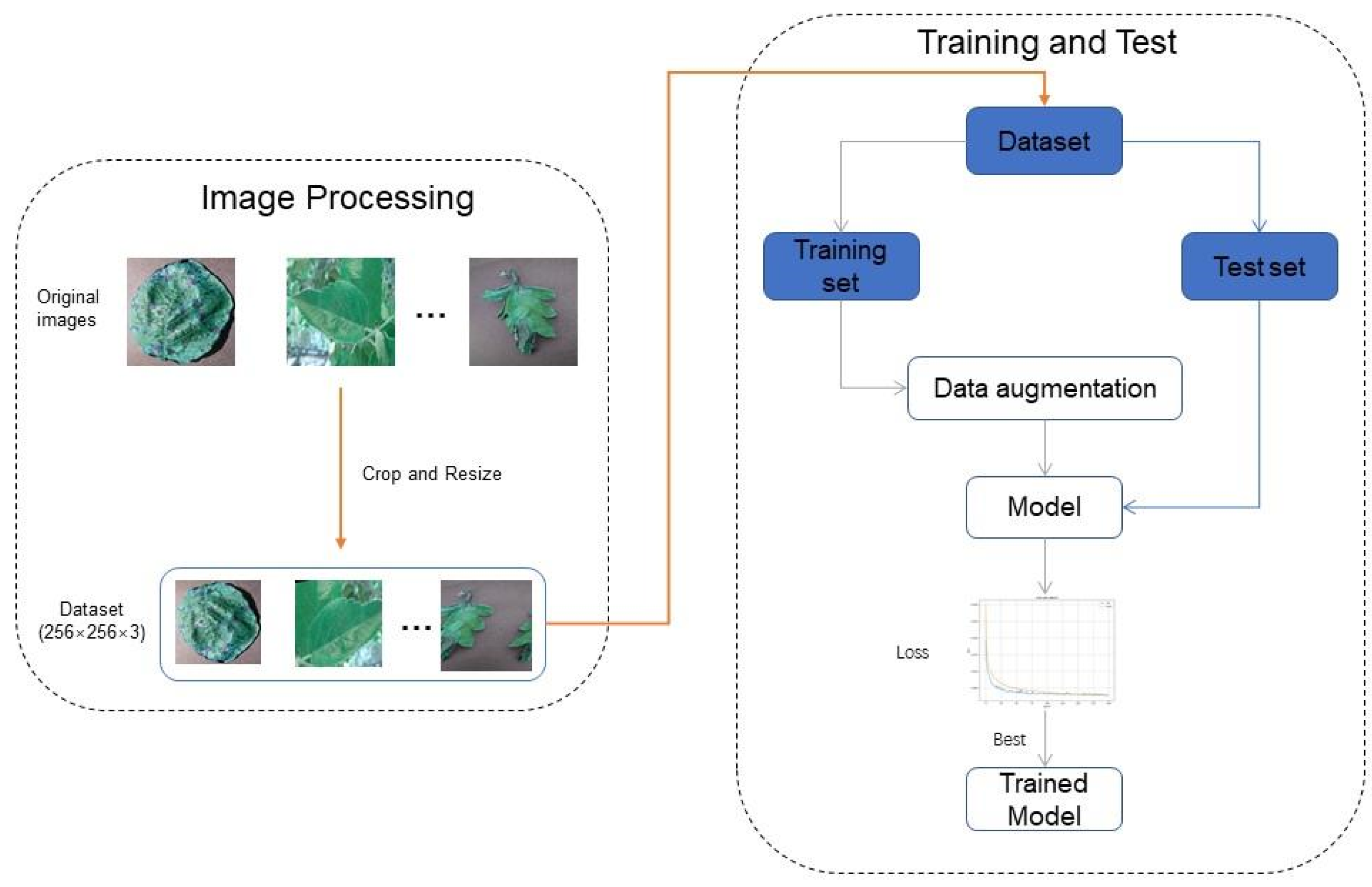 Agronomy 13 02702 g008