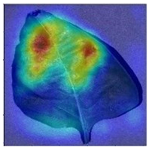 Agronomy 13 02702 i012