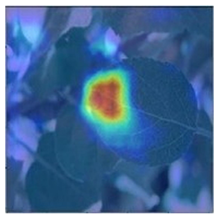 Agronomy 13 02702 i014