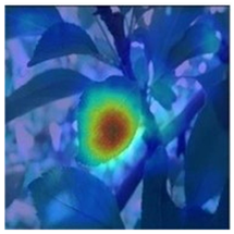 Agronomy 13 02702 i015