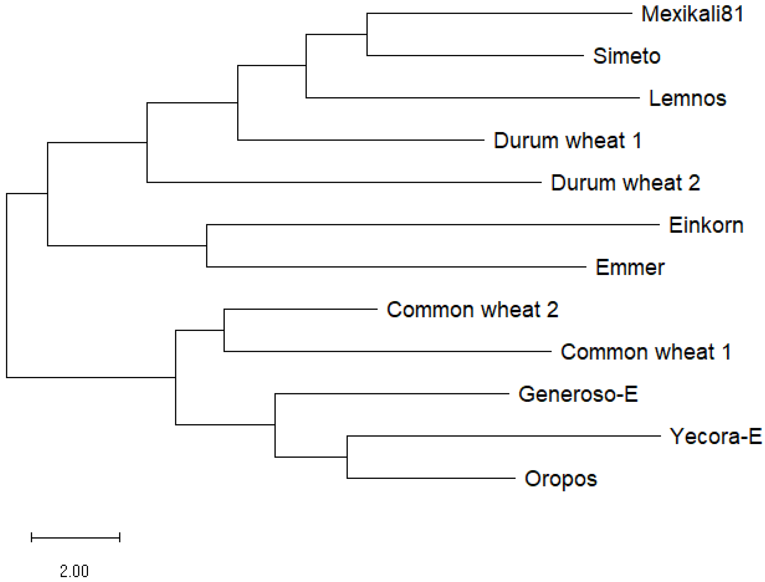 Agronomy 13 02703 g002