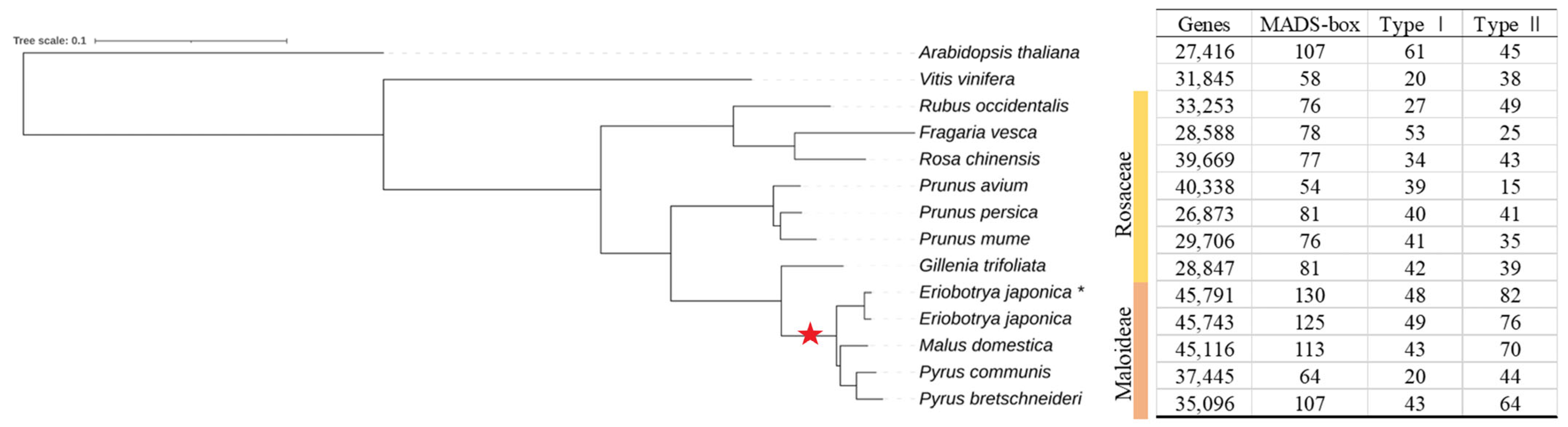 Agronomy 13 02709 g001