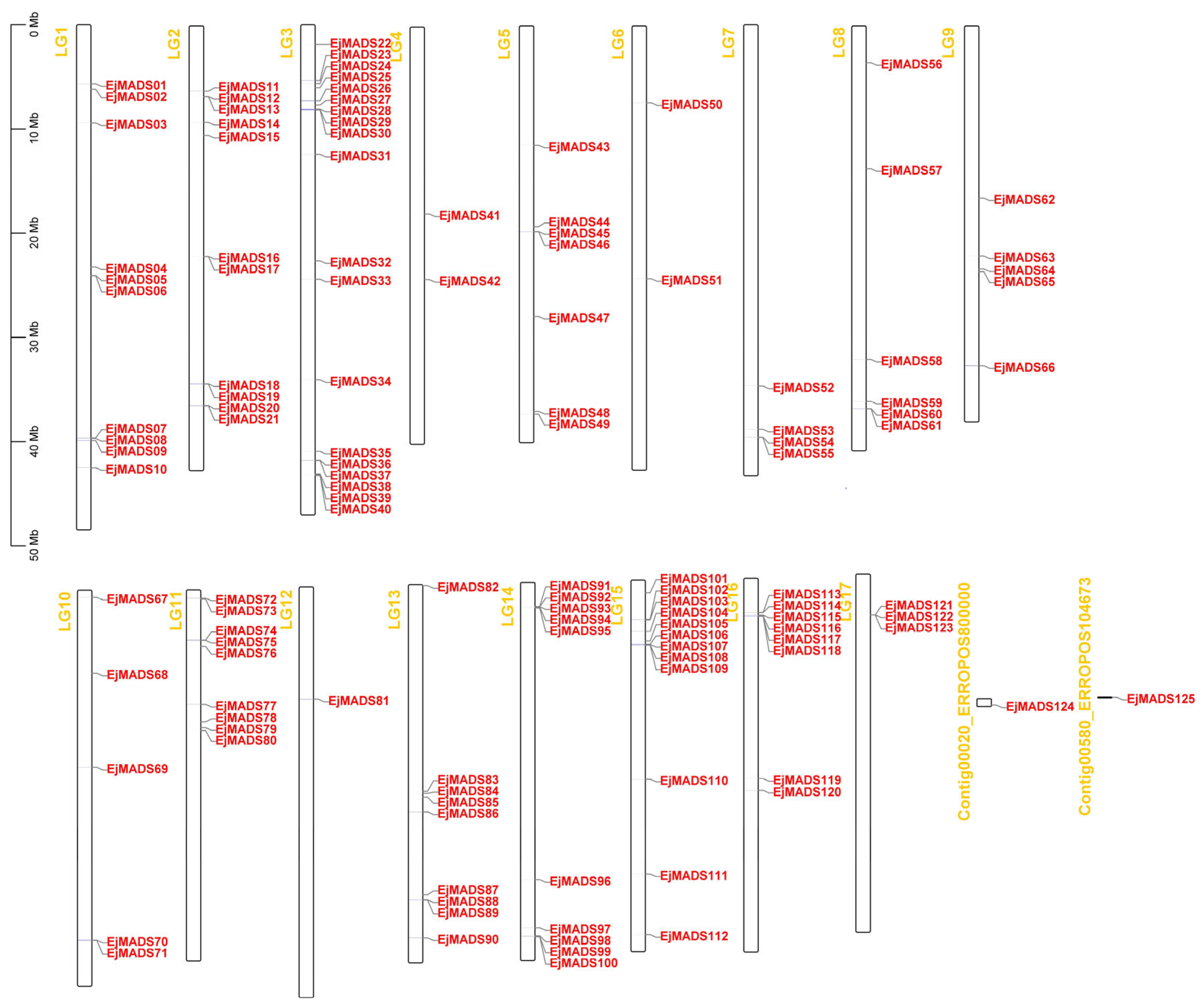 Agronomy 13 02709 g003