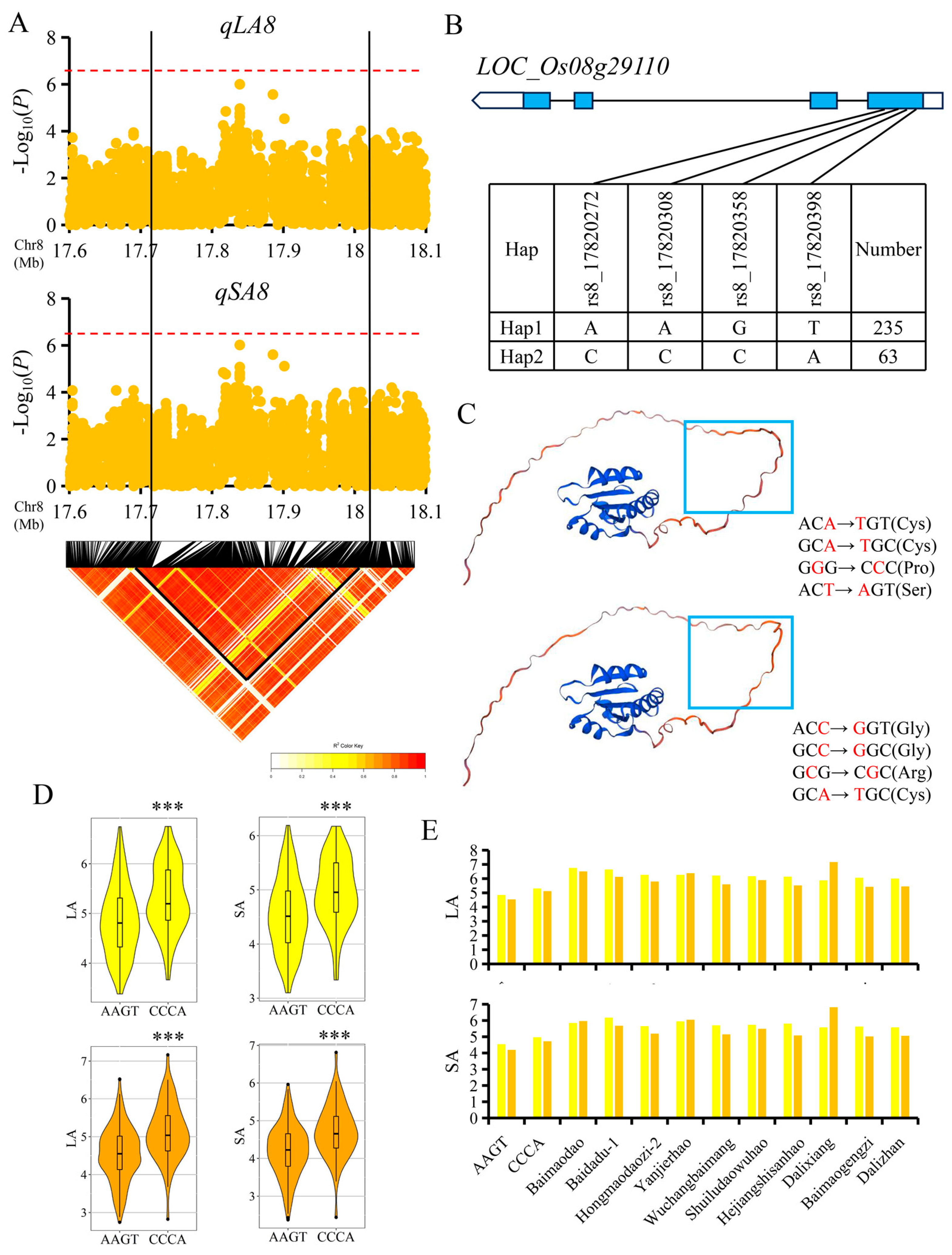 Agronomy 13 02711 g004