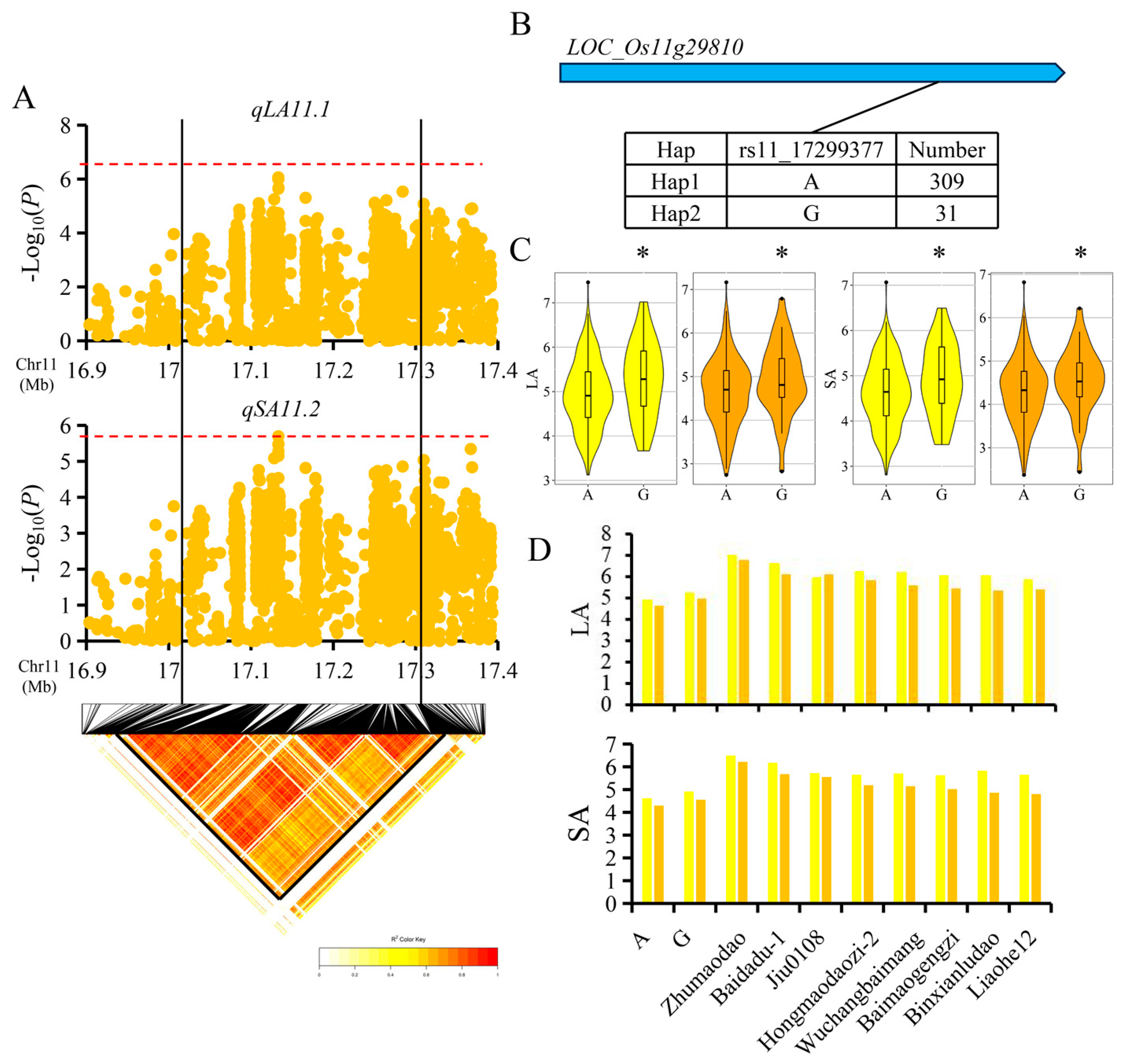 Agronomy 13 02711 g005