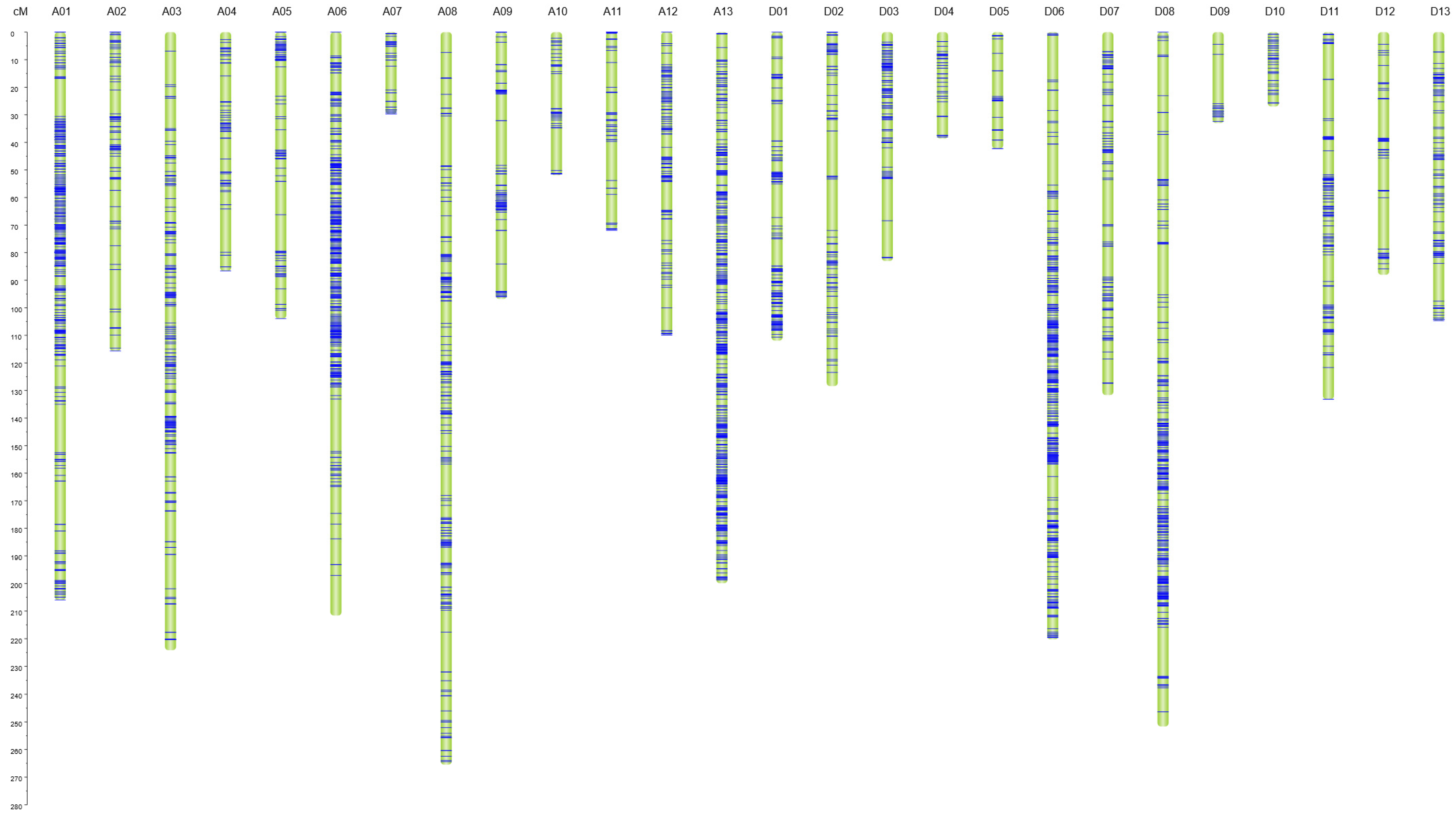 Agronomy 13 02716 g002
