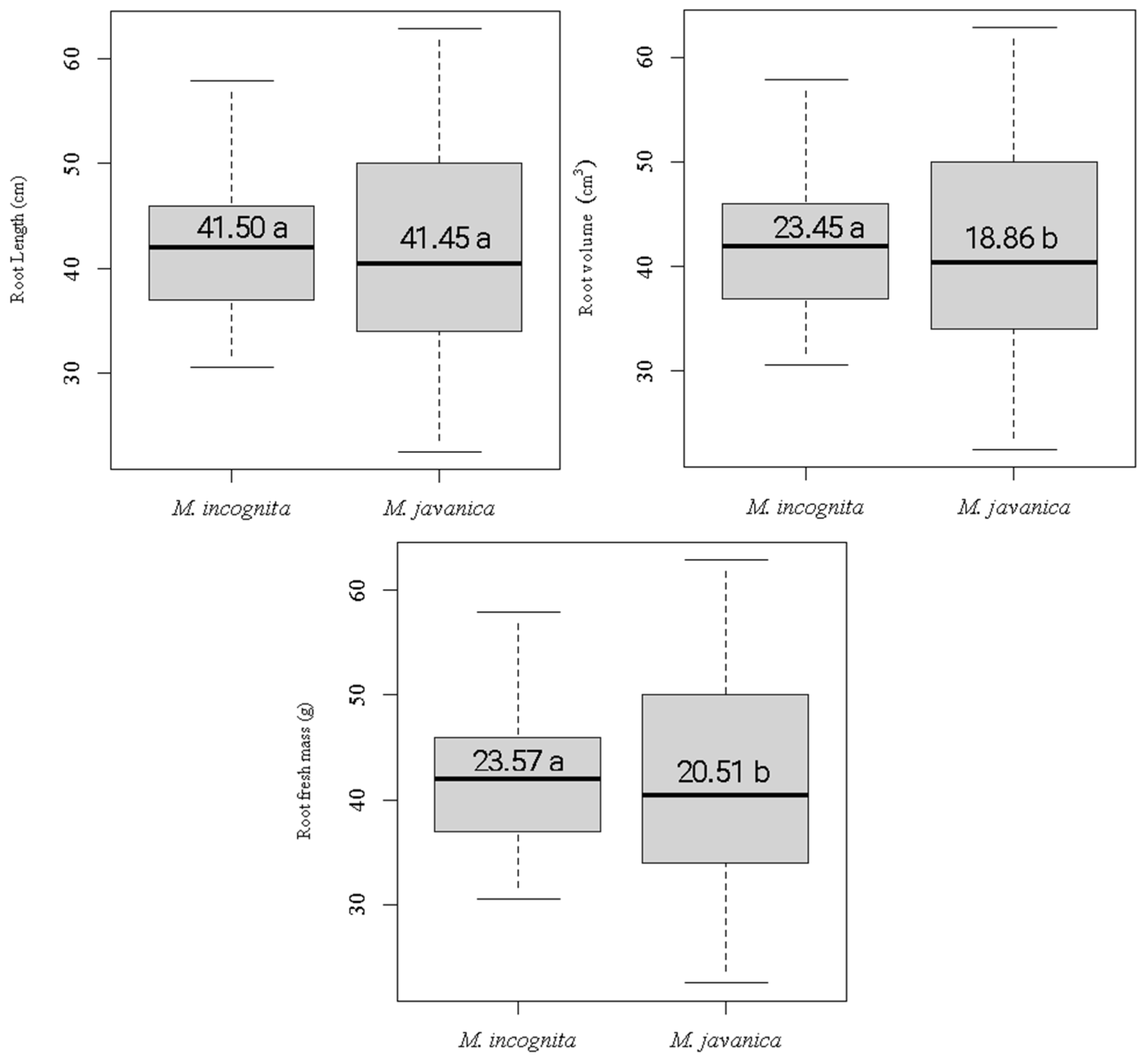 Agronomy 13 02719 g001