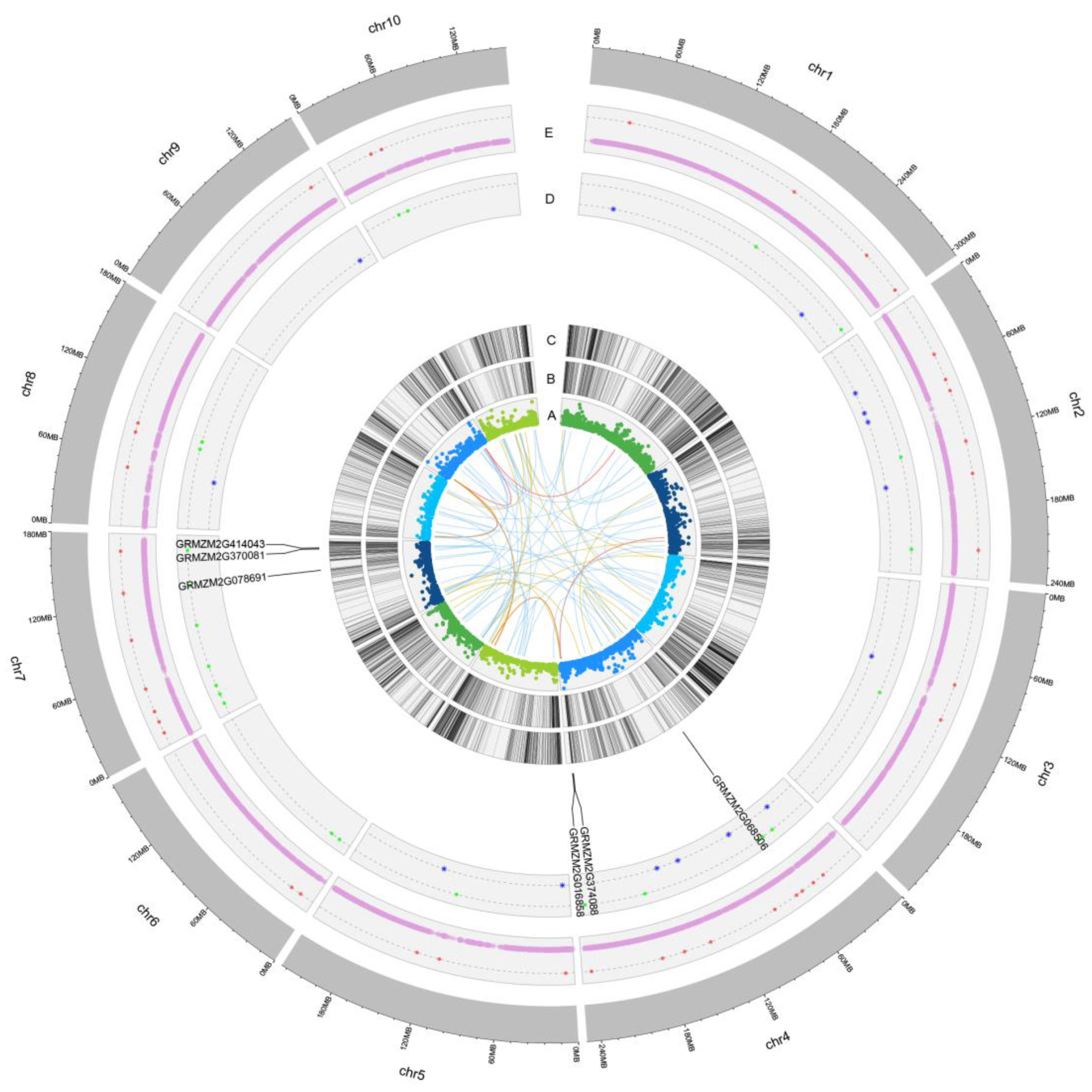 Agronomy 13 02722 g003