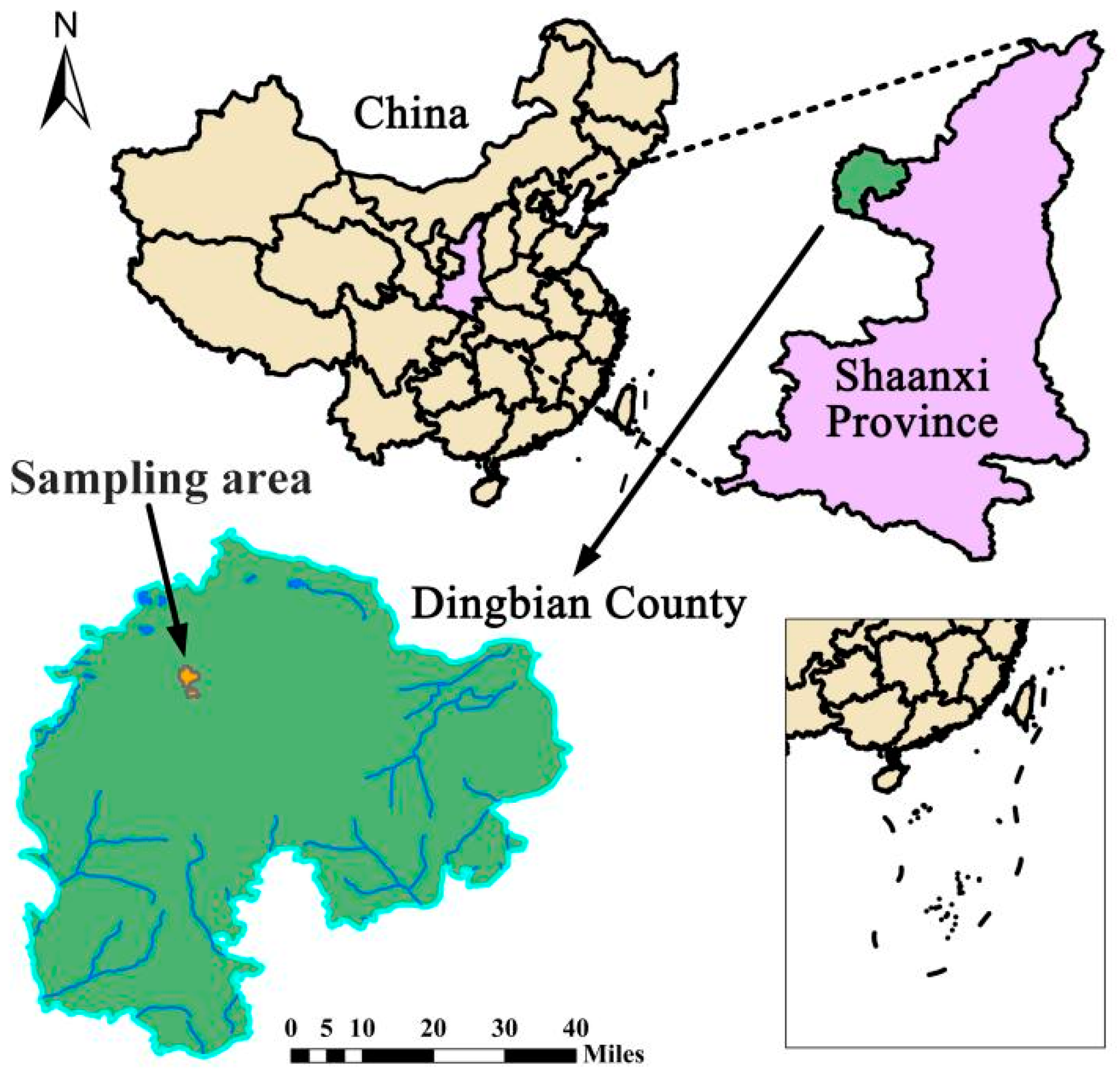 Application of a Fusion Attention Mechanism-Based Model