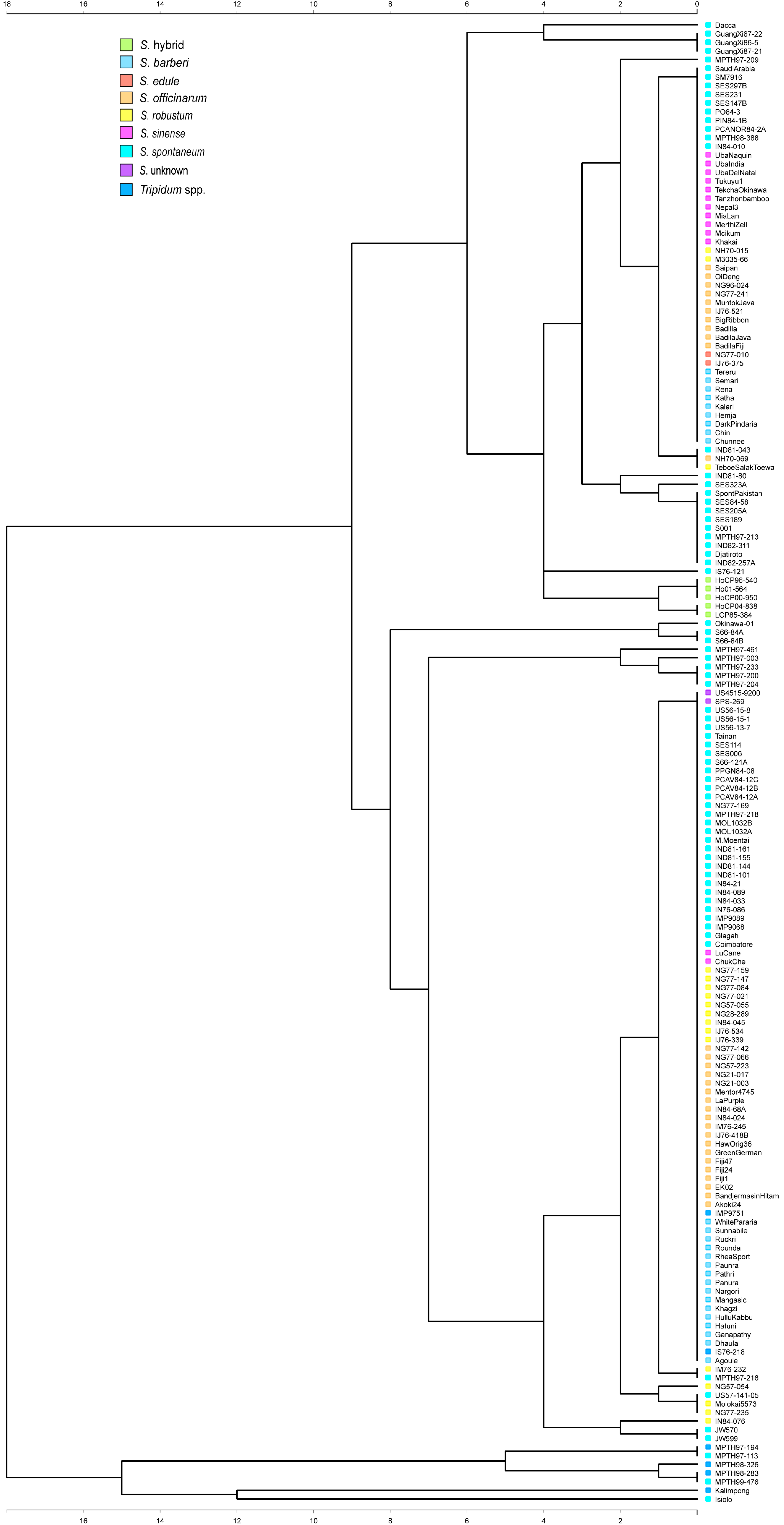 Agronomy 13 02728 g003