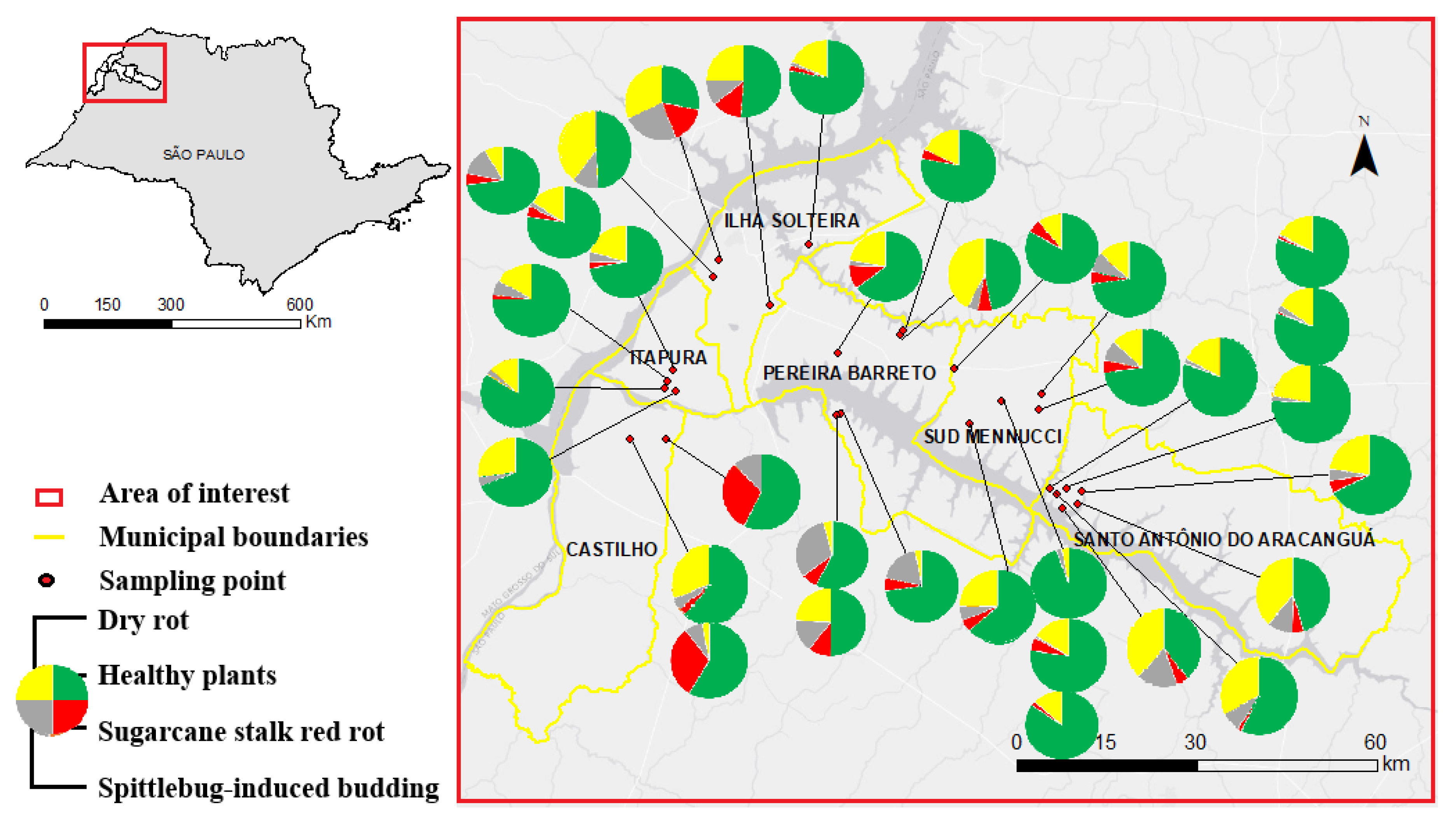 Agronomy 13 02729 g002