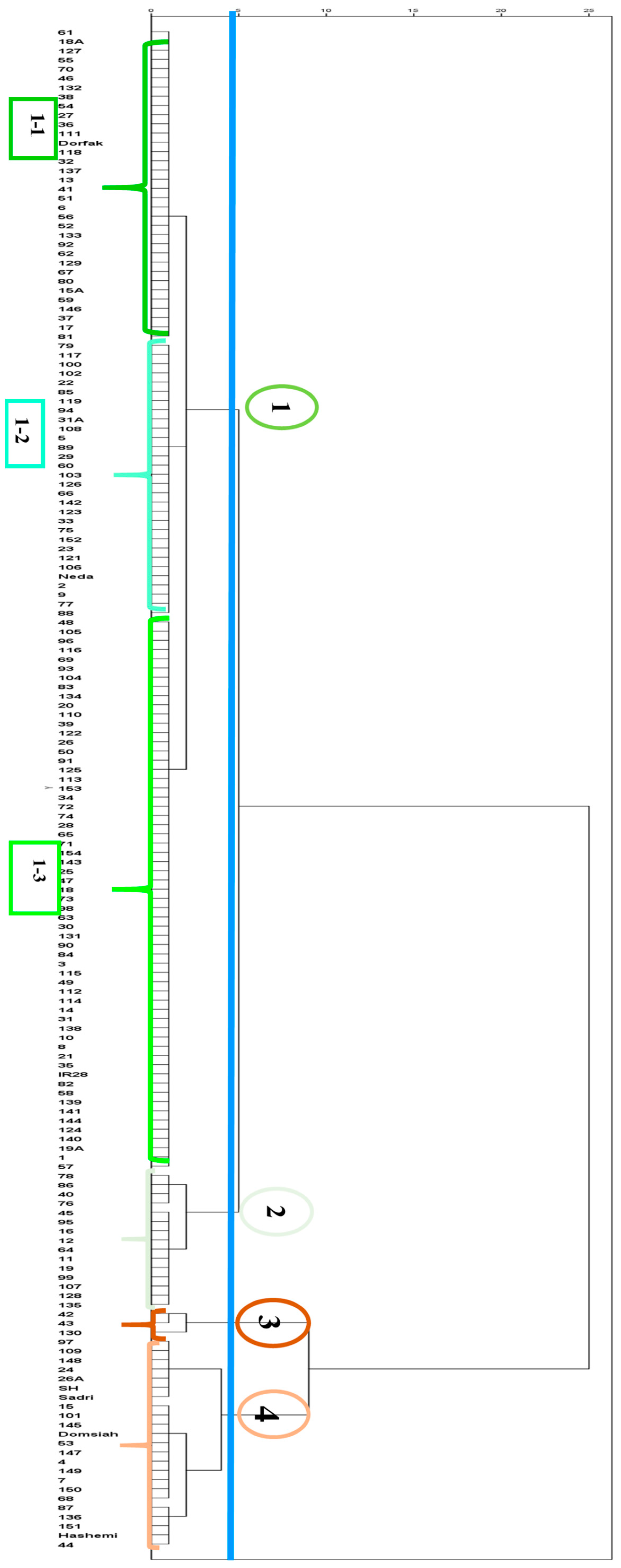 Agronomy 13 02730 g002