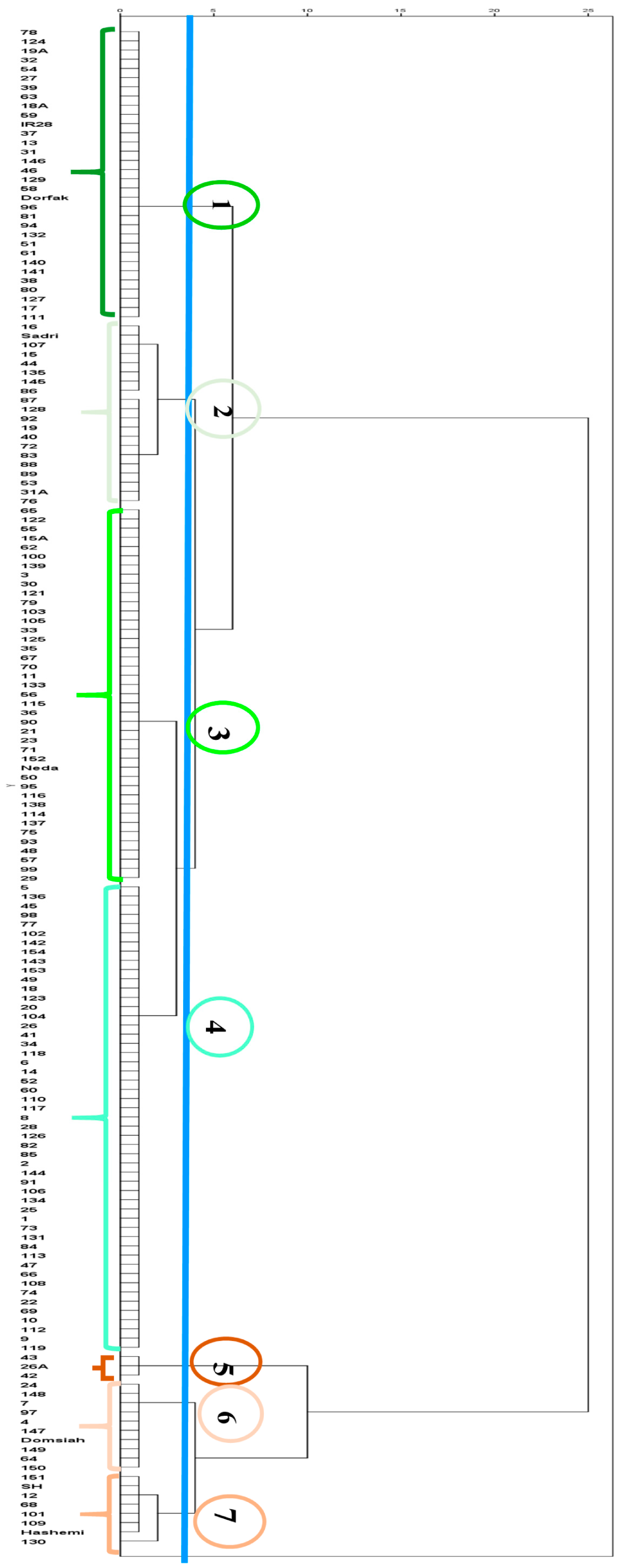 Agronomy 13 02730 g003