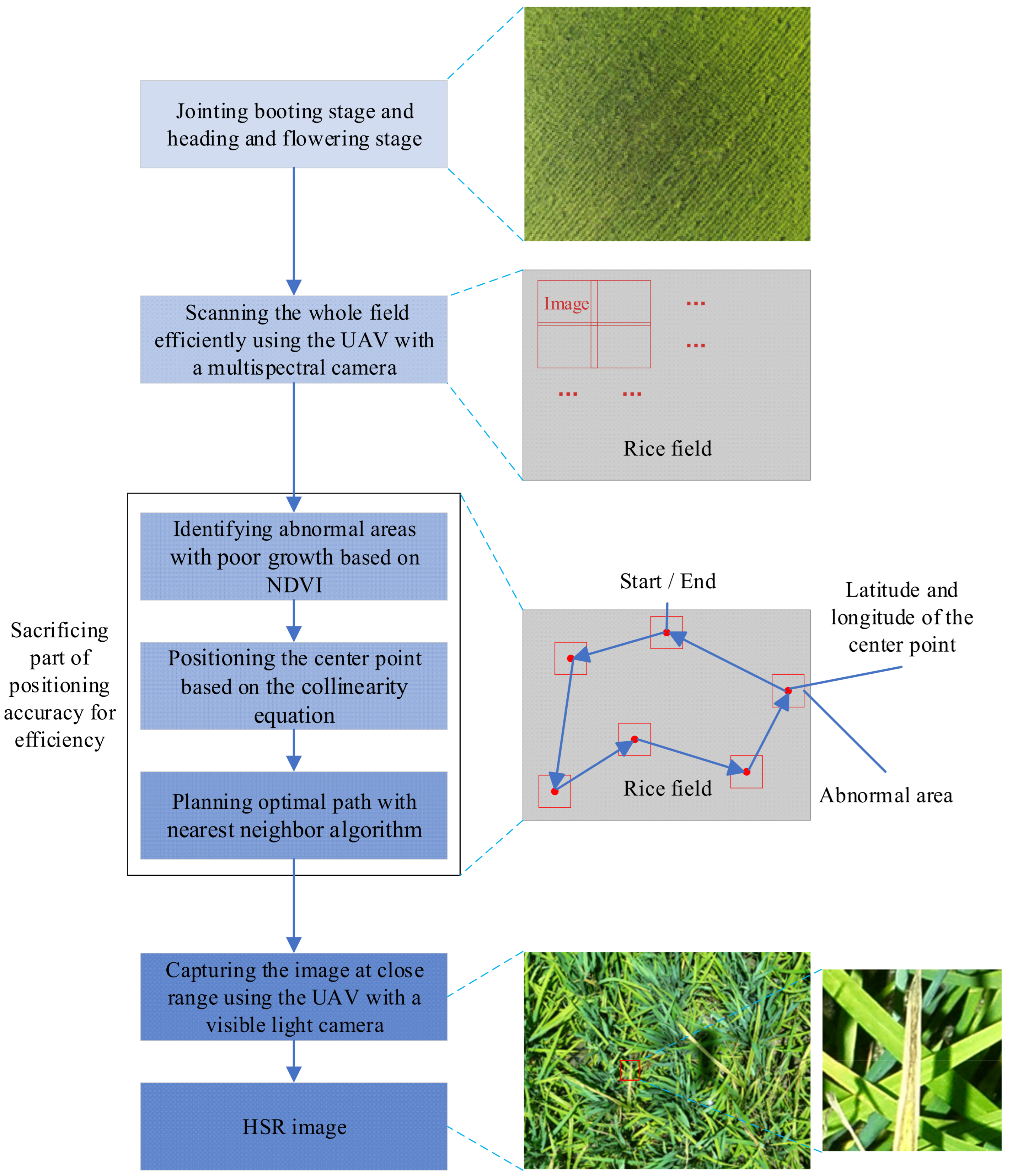 Agronomy 13 02731 g002