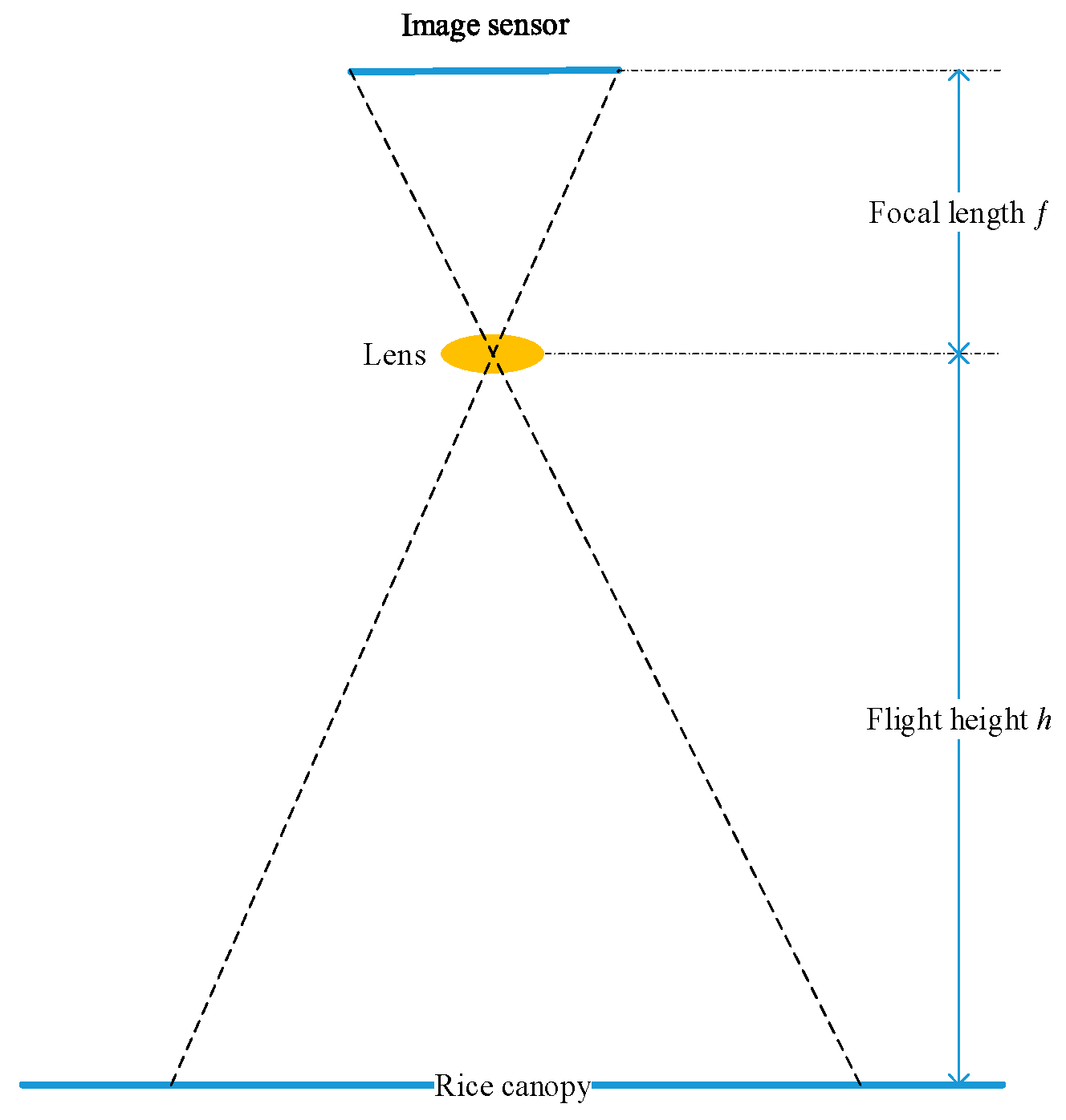 Agronomy 13 02731 g010