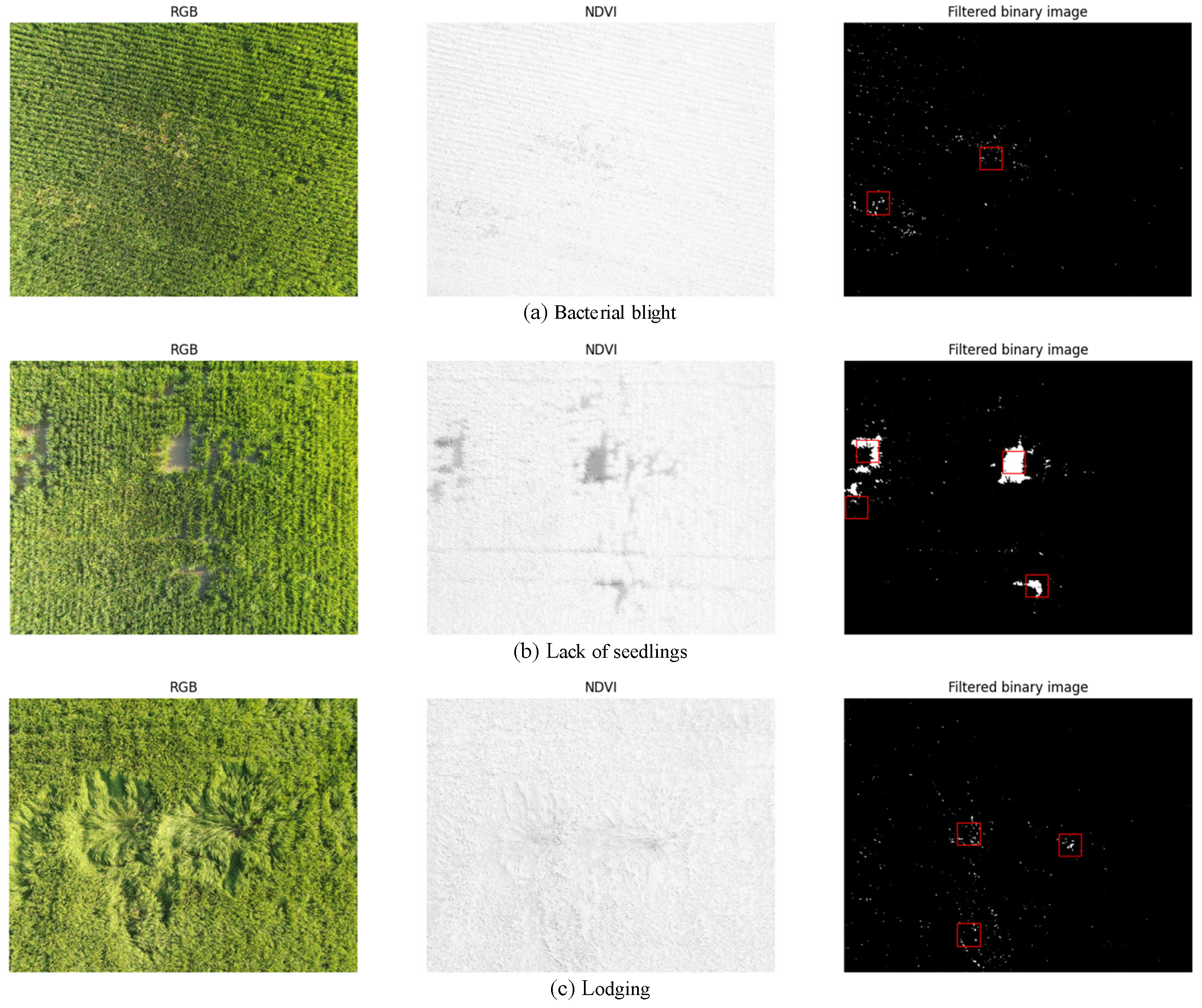 Agronomy 13 02731 g016