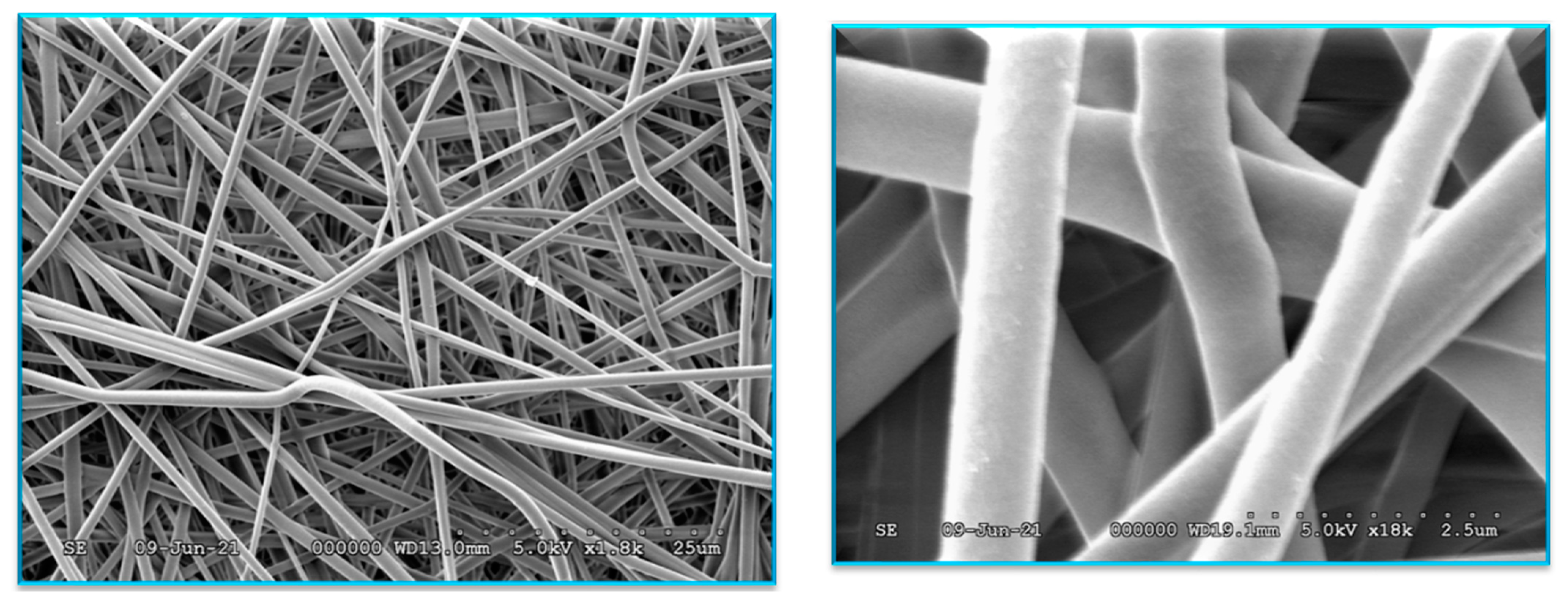 Agronomy 13 02734 g004