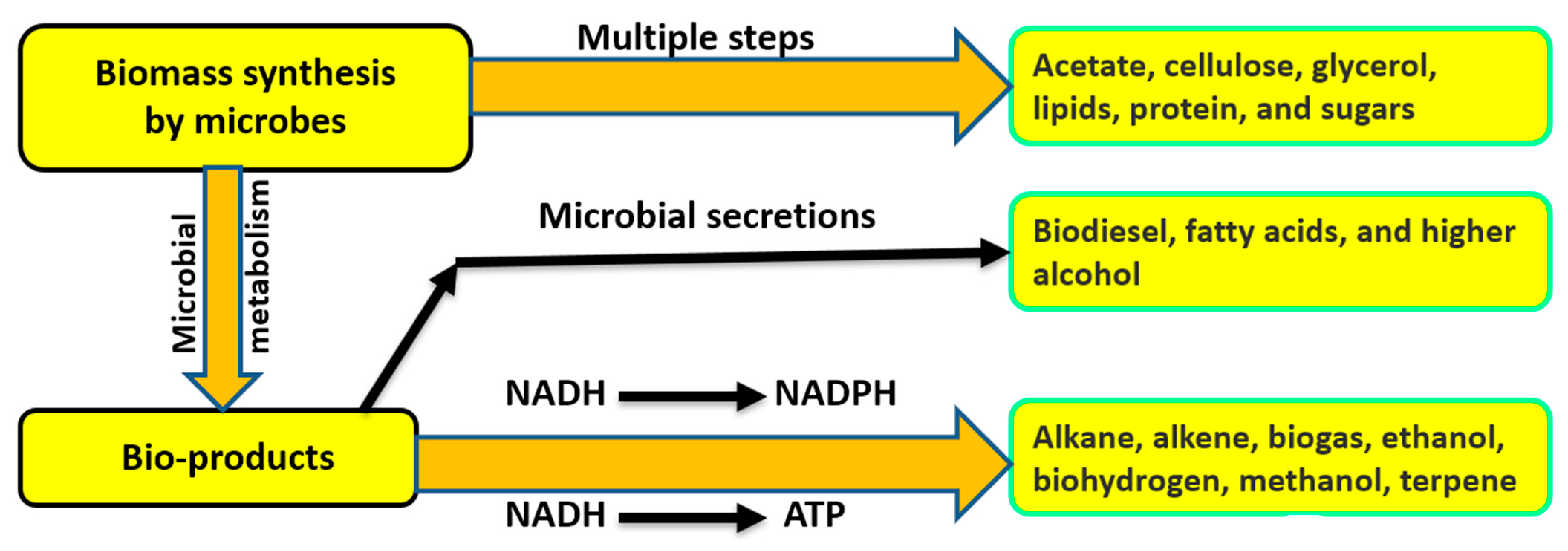 Agronomy 13 02734 g007
