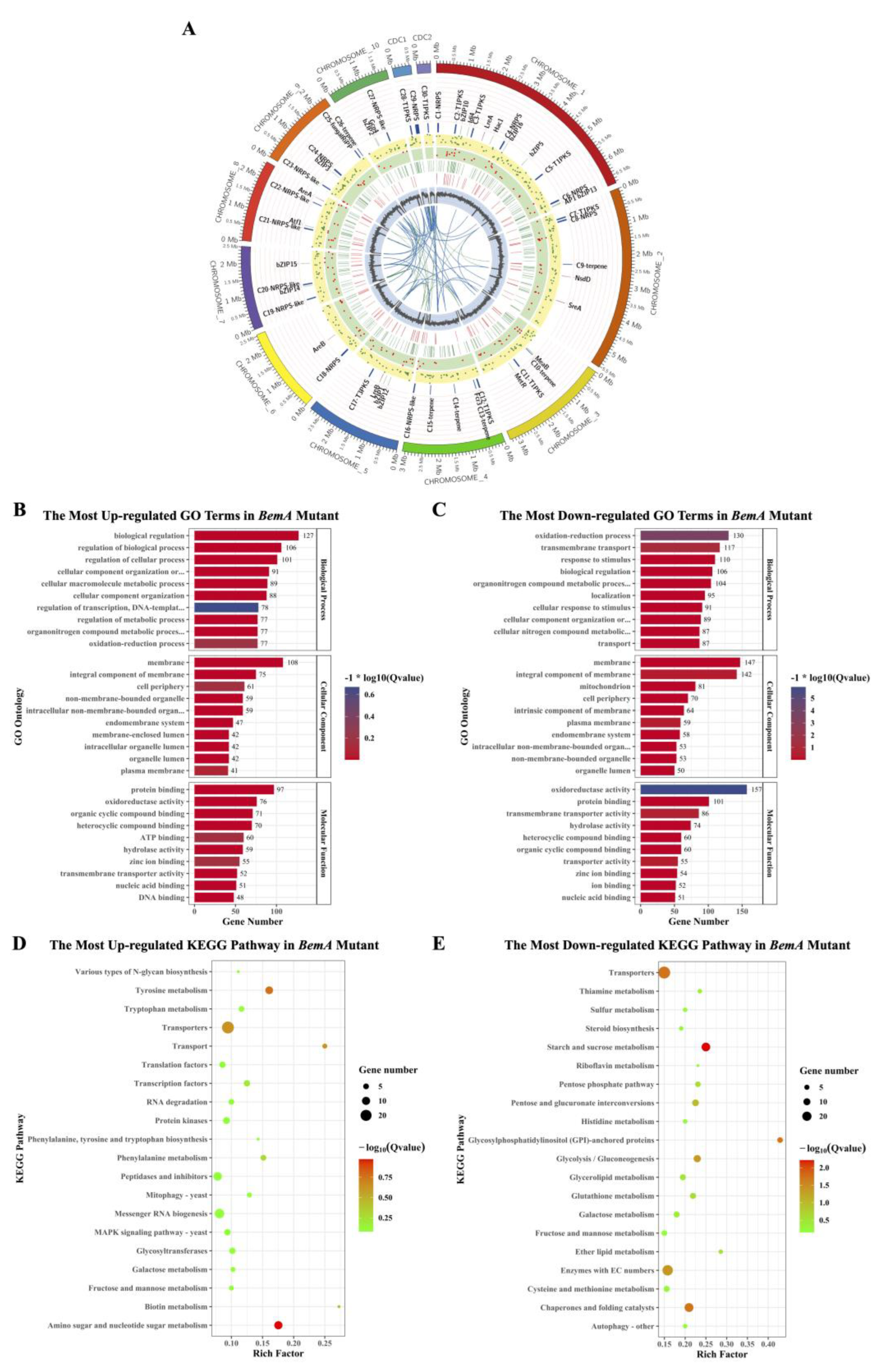 Agronomy 13 02735 g004