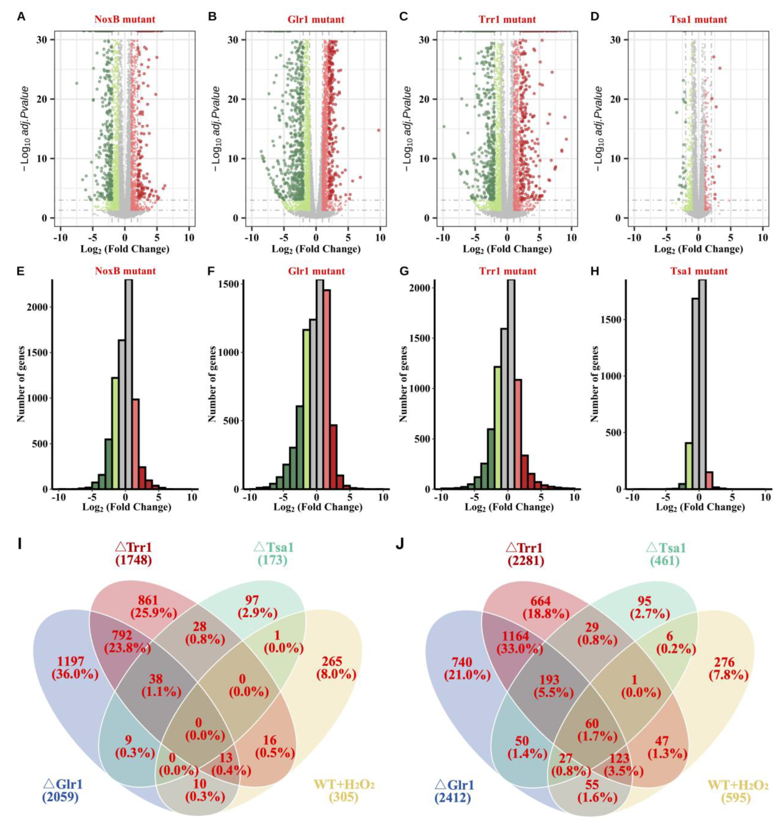 Agronomy 13 02735 g005